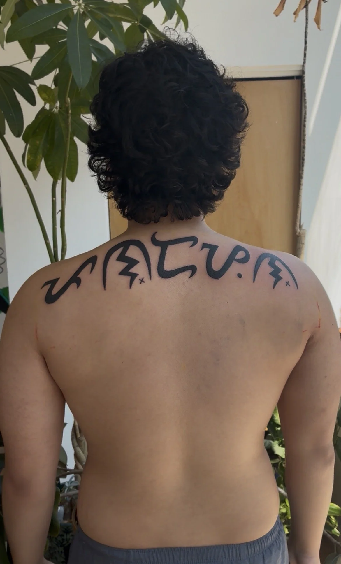 Back of a person with curly black hair, showing a large tattoo on their upper back with stylized letters and symbols, standing indoors near a potted plant.