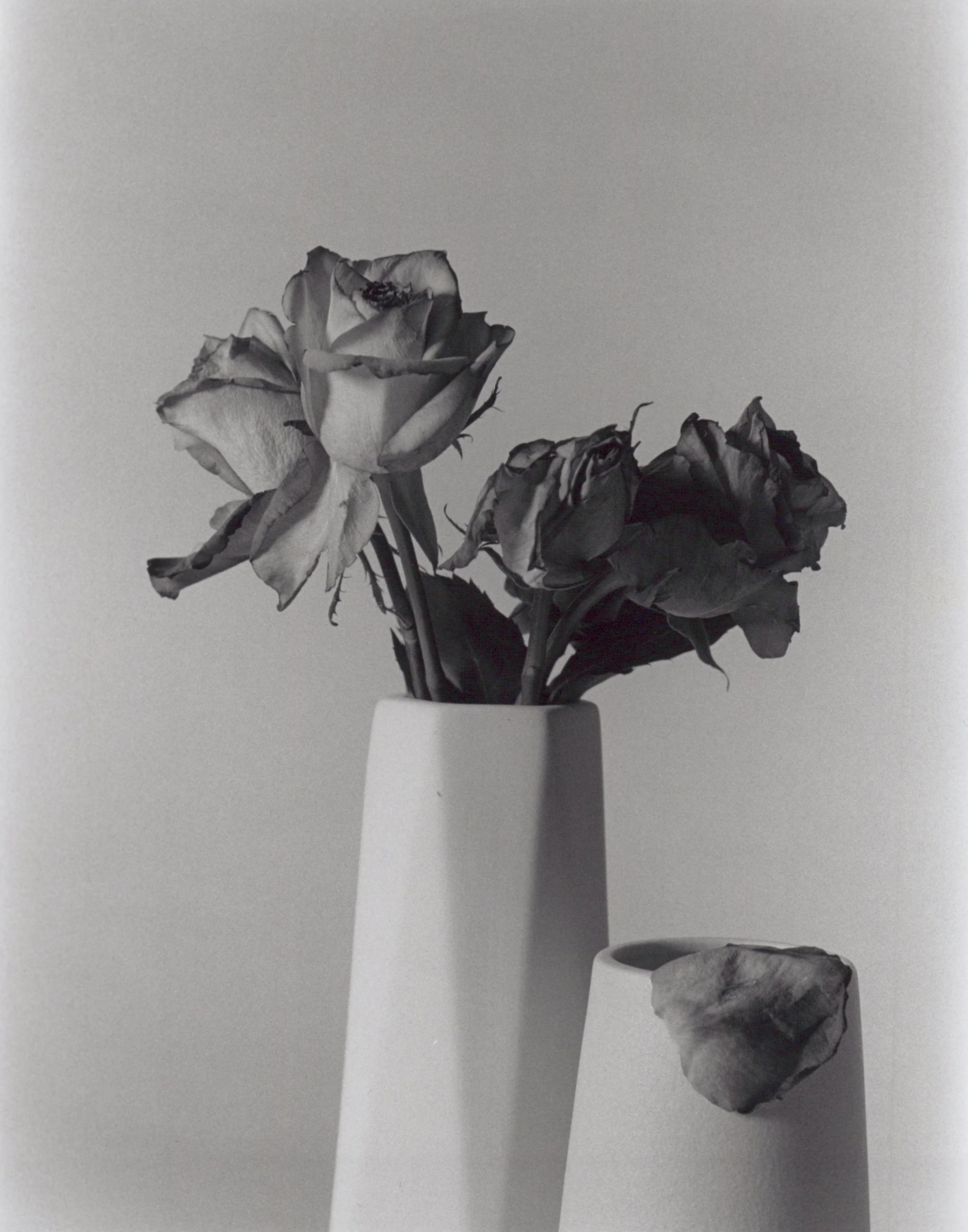 Black and white photo of three wilted roses in a white vase, with a rock-like object in a smaller white container next to the vase, all placed against a plain background.