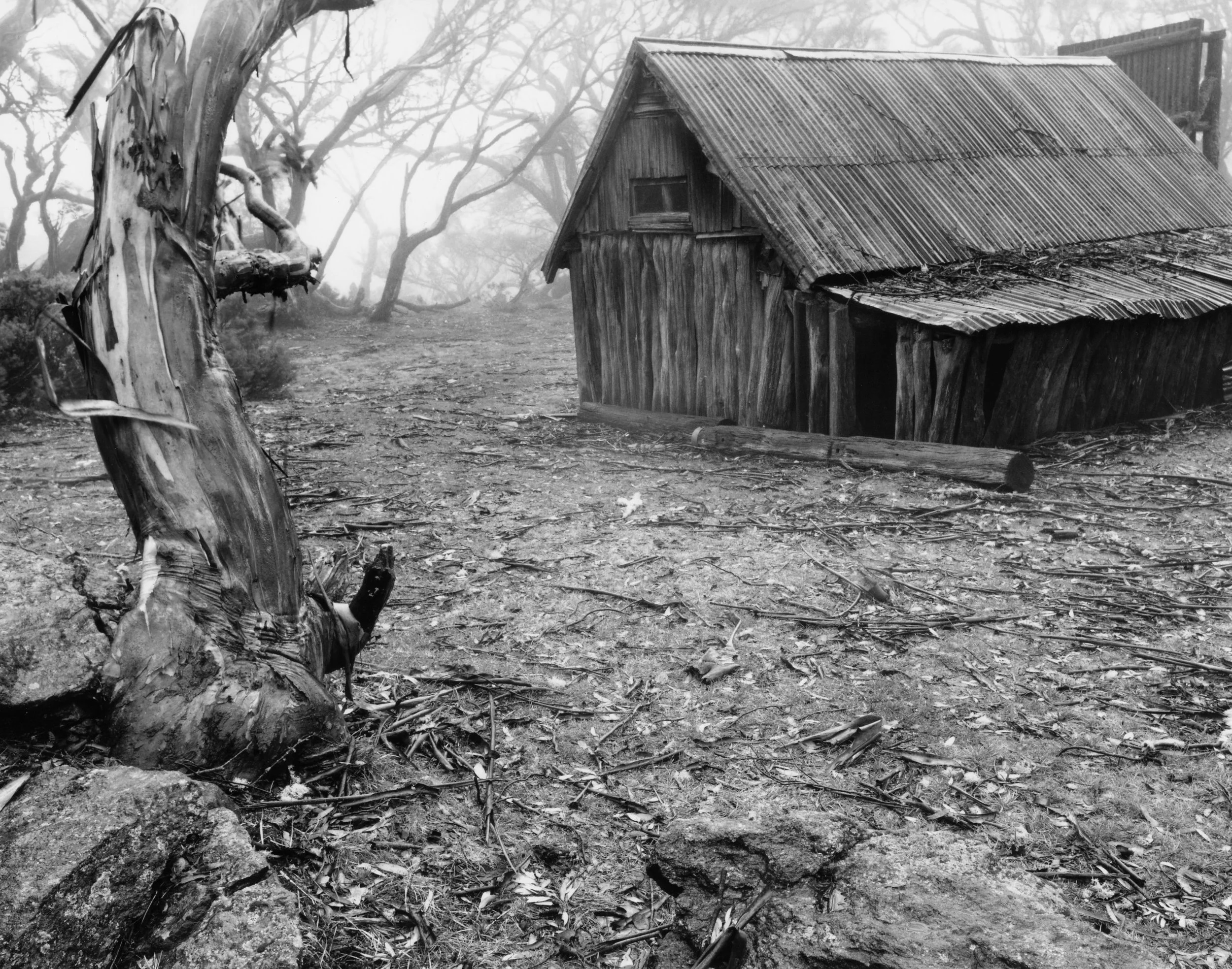 Wallace Hut in Mist.jpeg