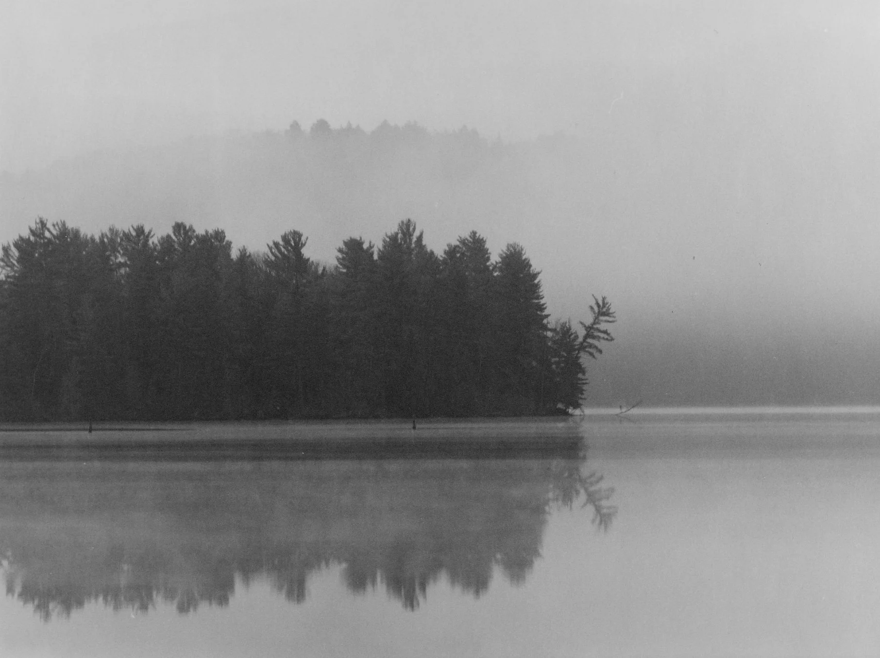 Misty Reflections.jpg