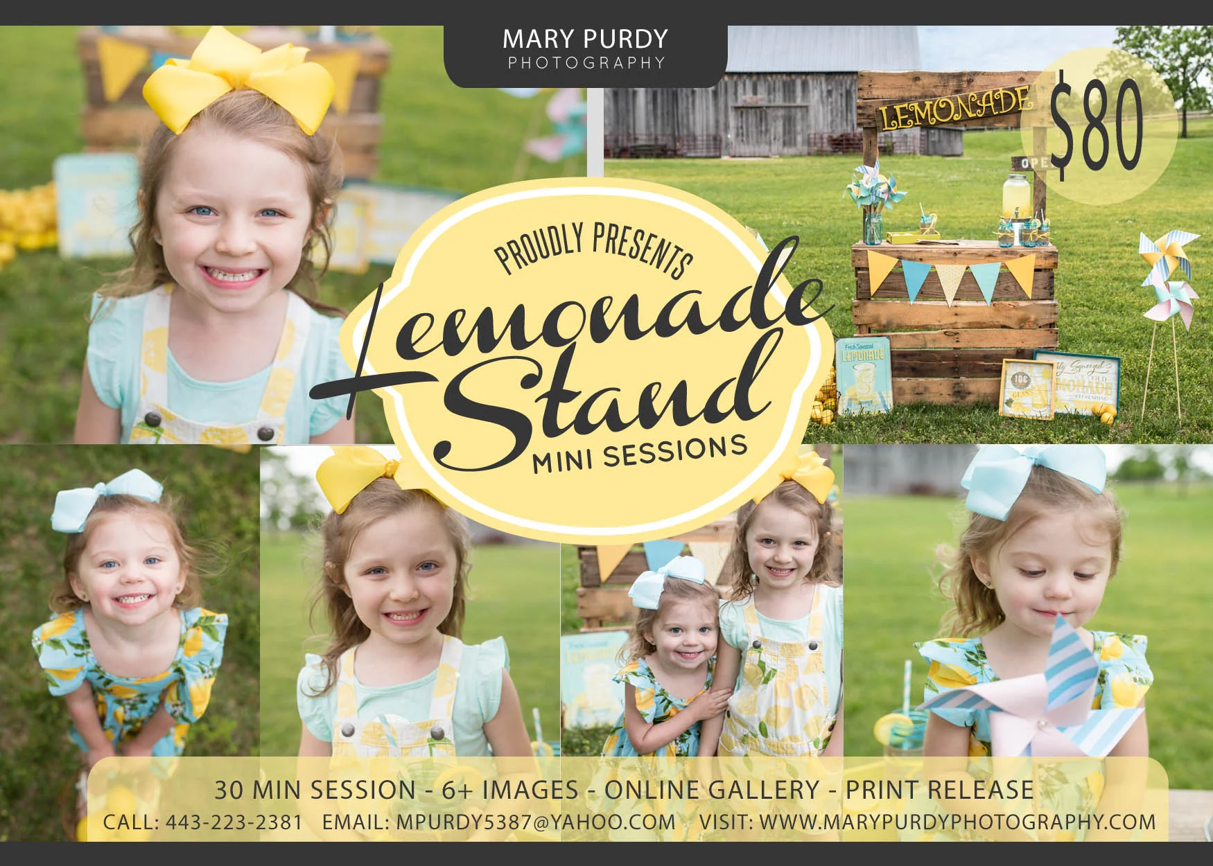IA001LemonadeMarketingBoardbyPaperLark (1).jpg