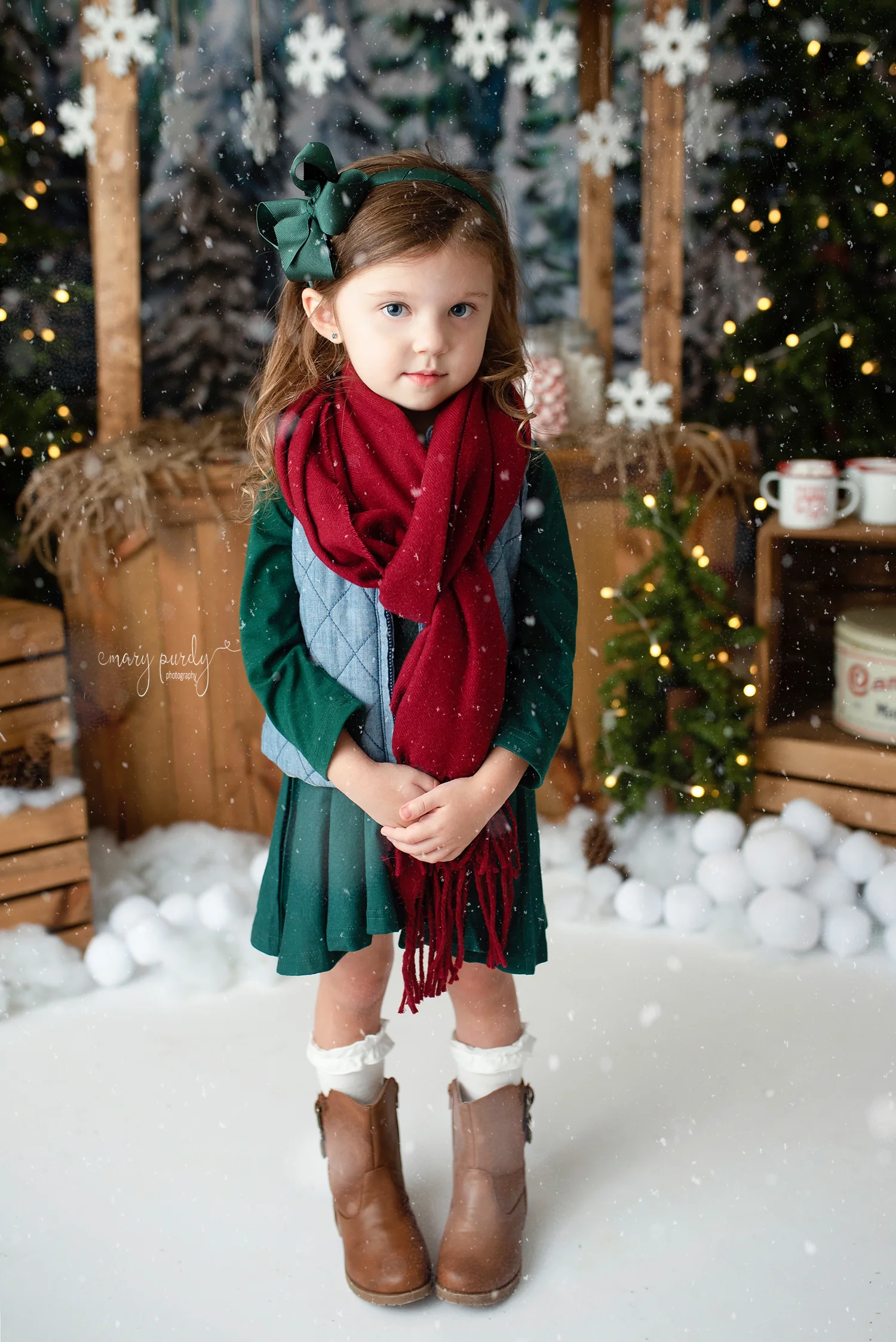 D7C_8413 Snow copy.jpg