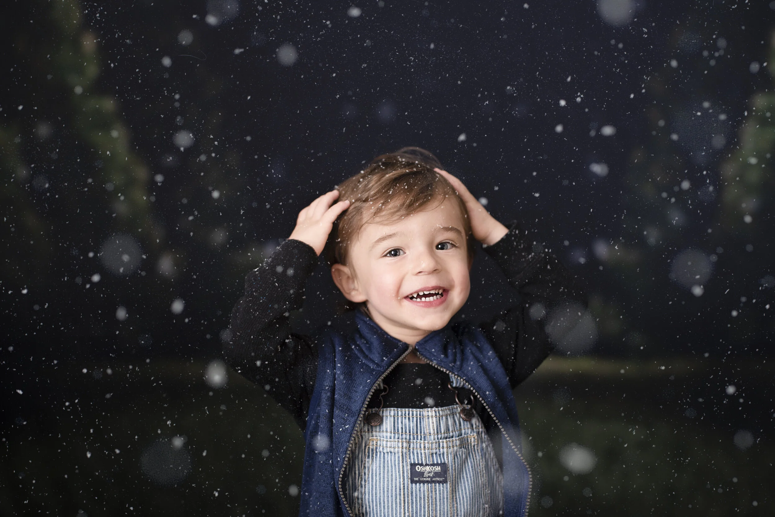 D7C_9304snow.jpg