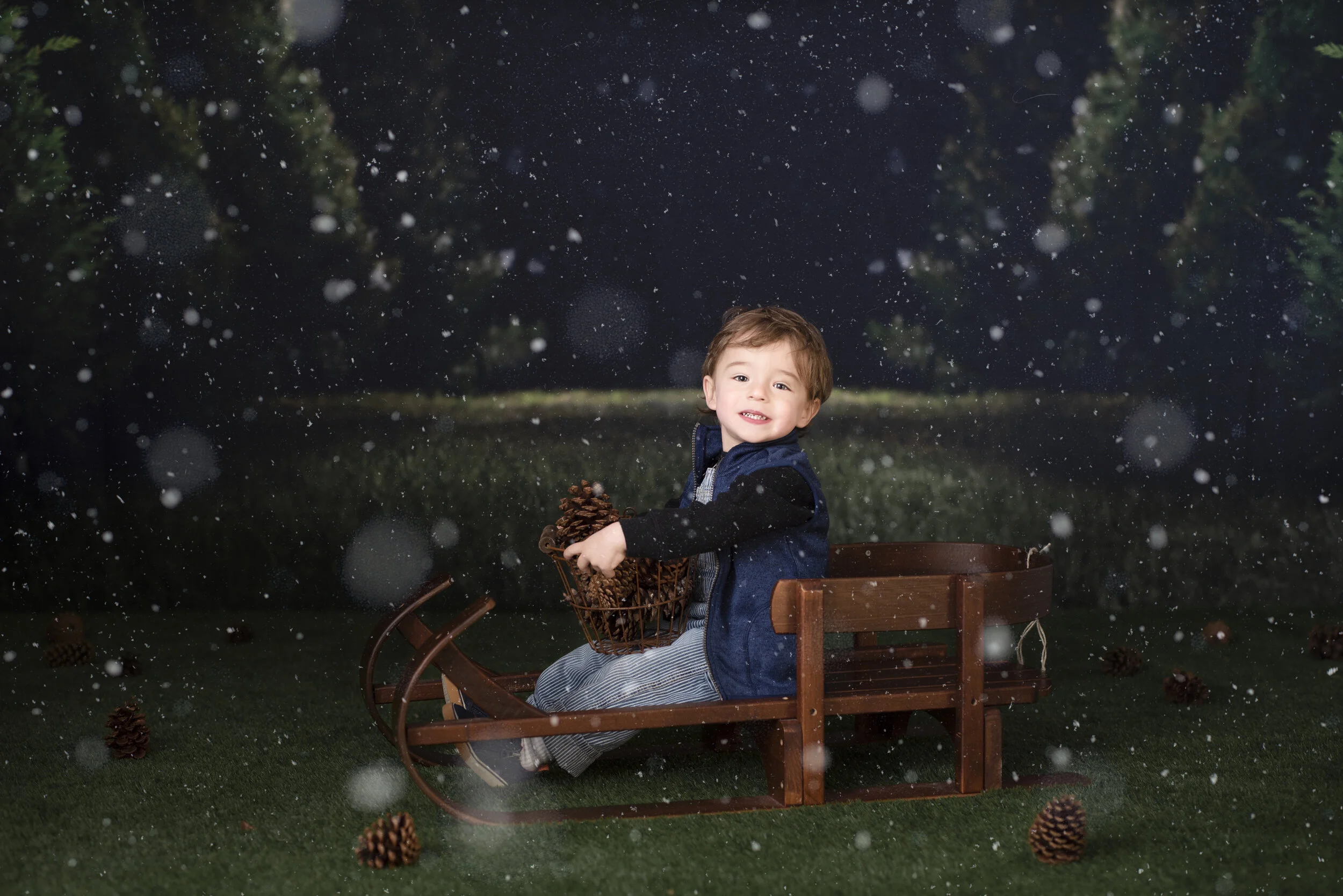 D7C_9245snow.jpg