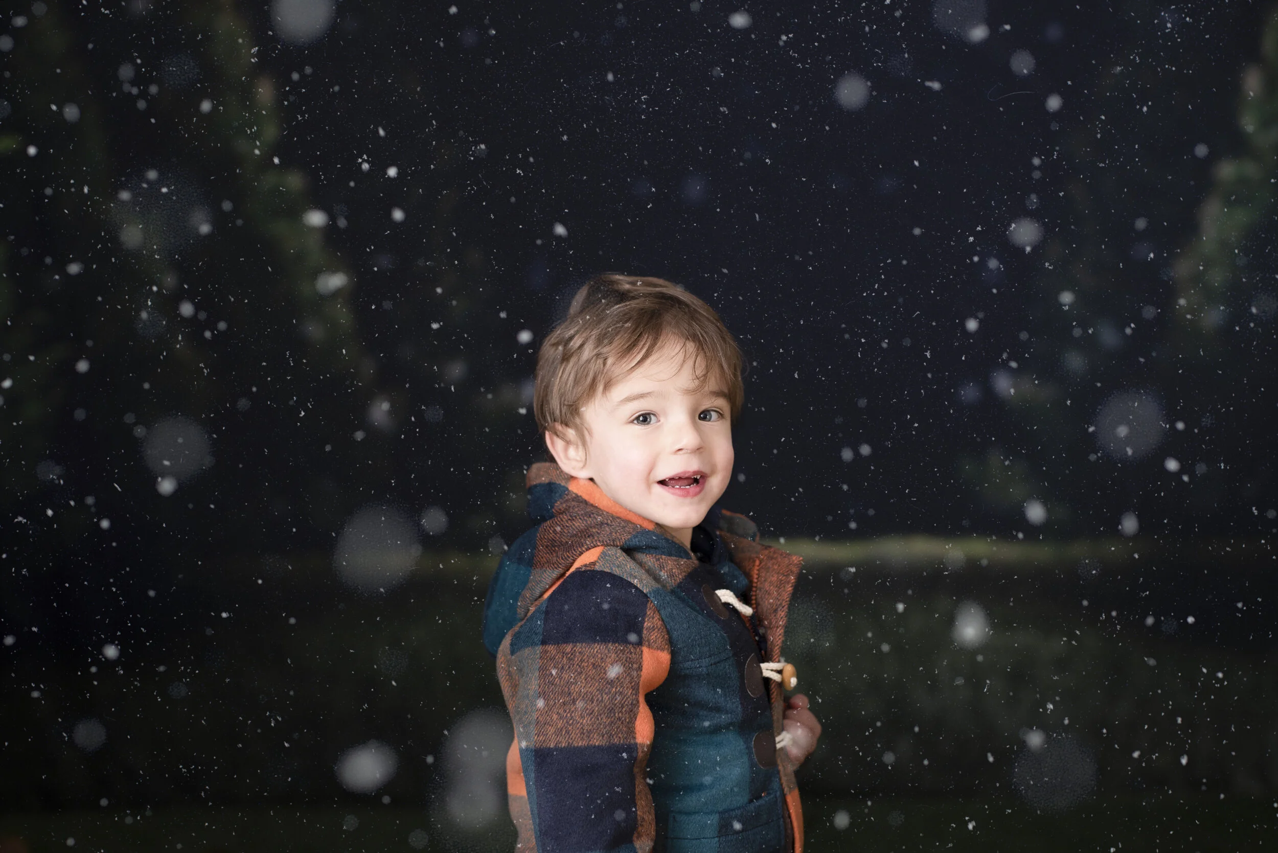 D7C_9273snow.jpg