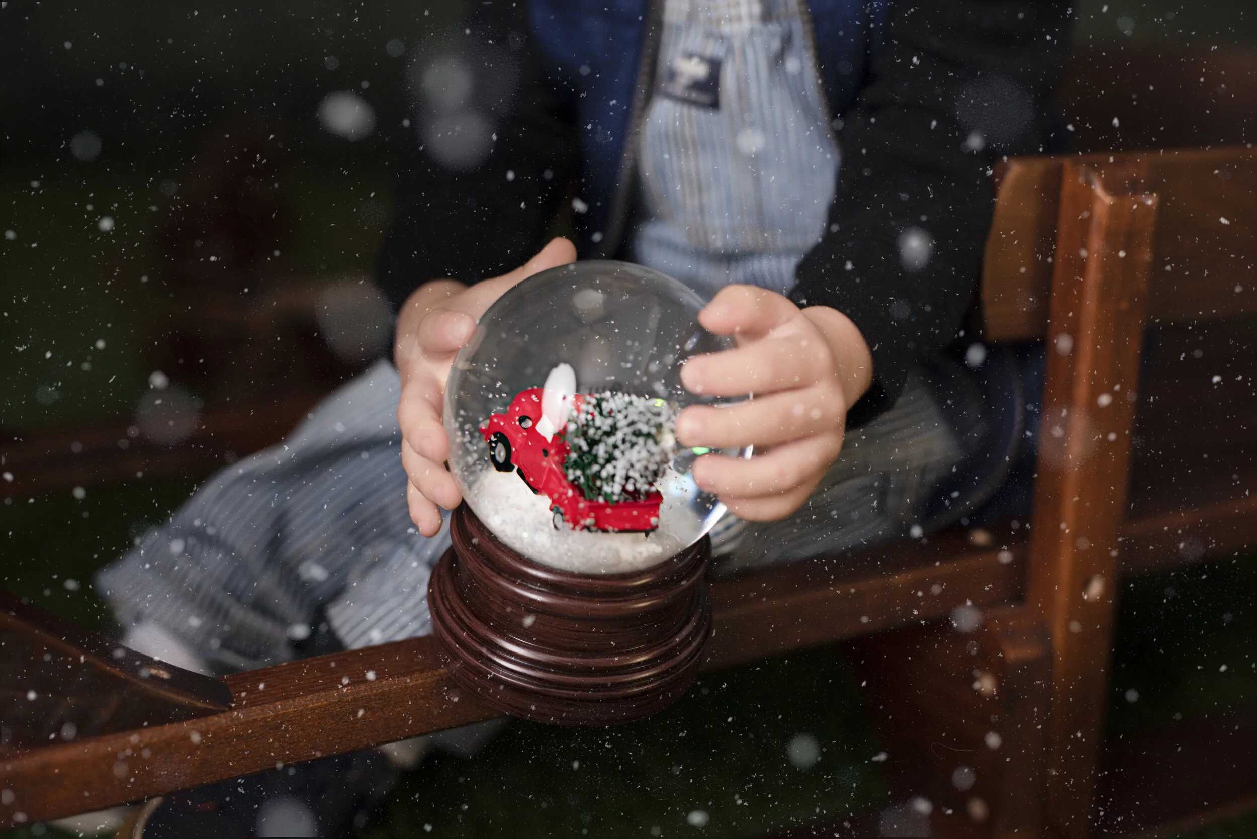 D7C_9257snow.jpg