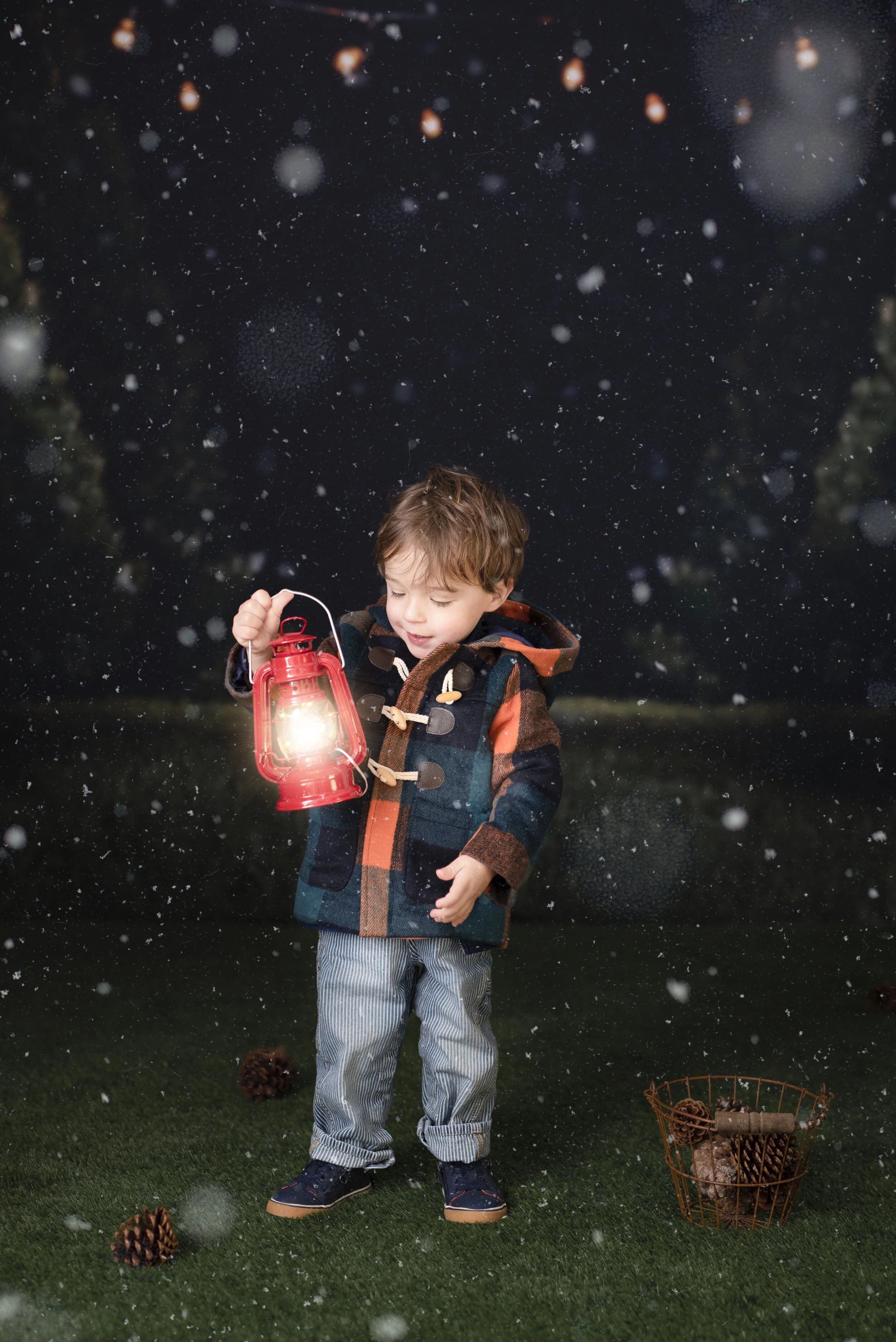 D7C_9264snow.jpg