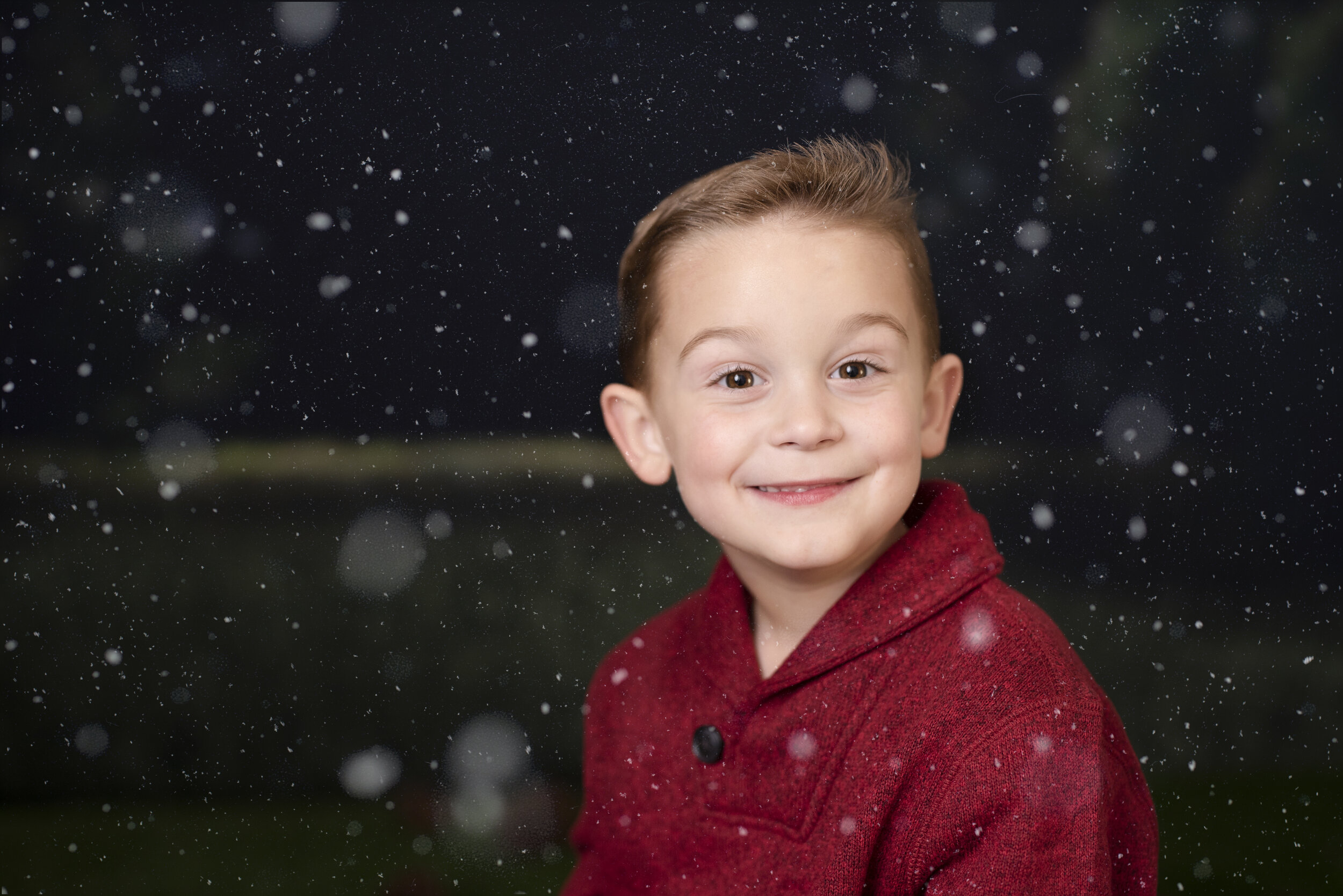 D7C_9375snow.jpg