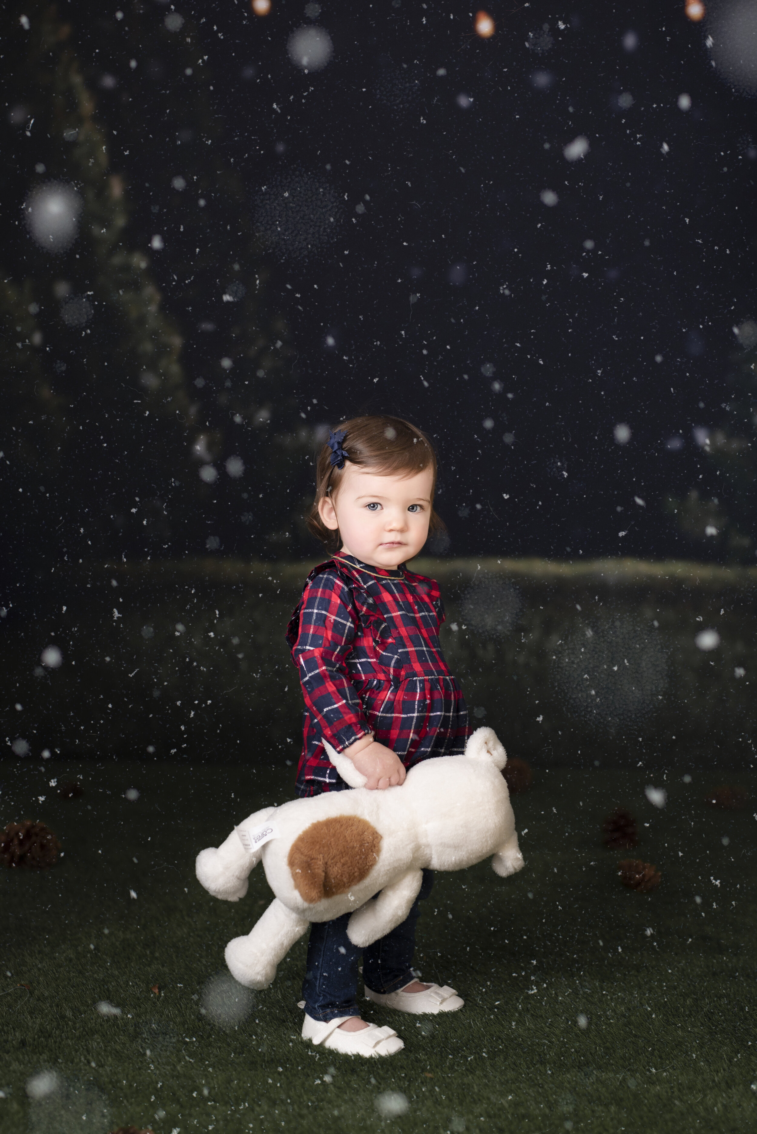 D7C_9320snow.jpg