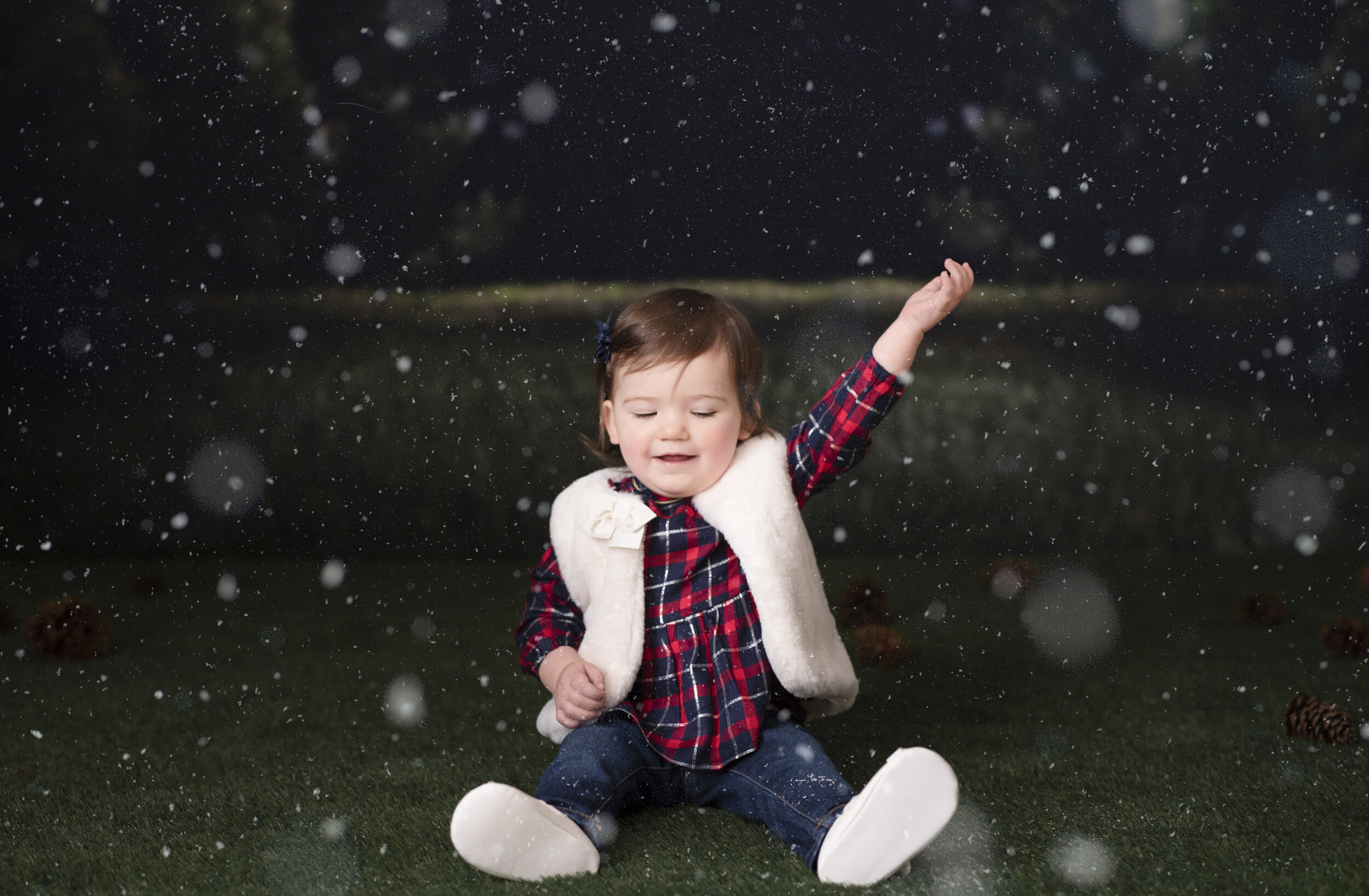 D7C_9347snow.jpg