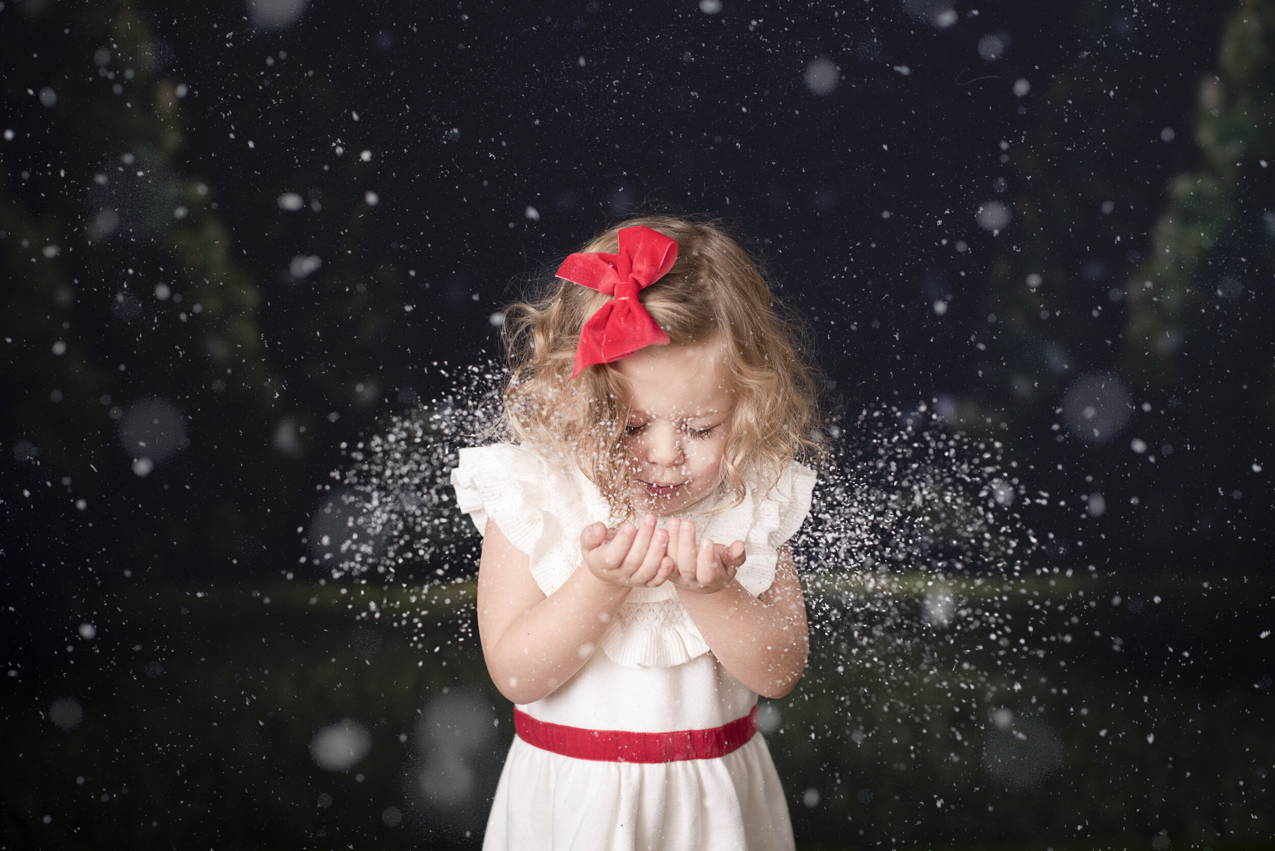 D7C_9221snow.jpg