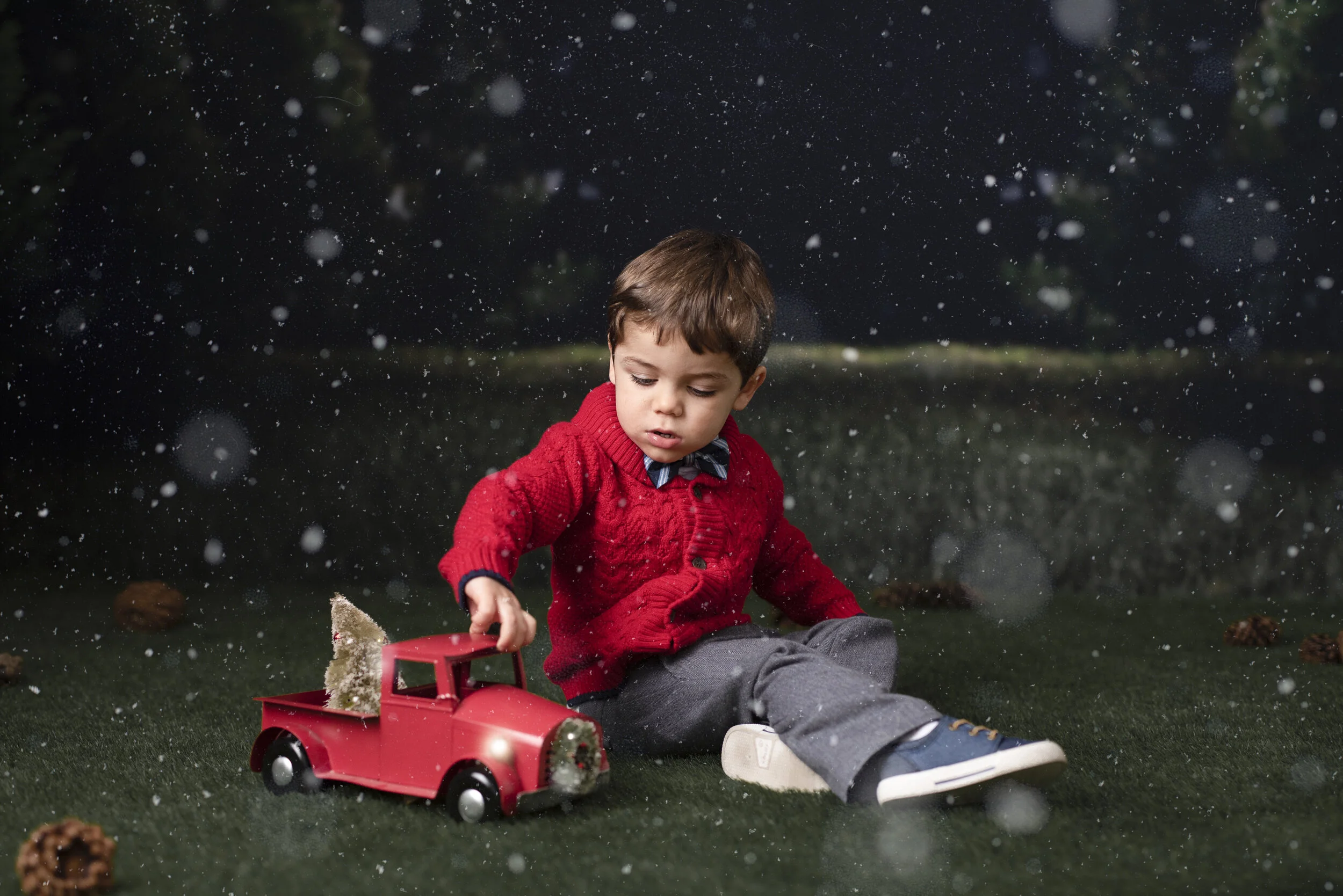 D7C_2241snow.jpg