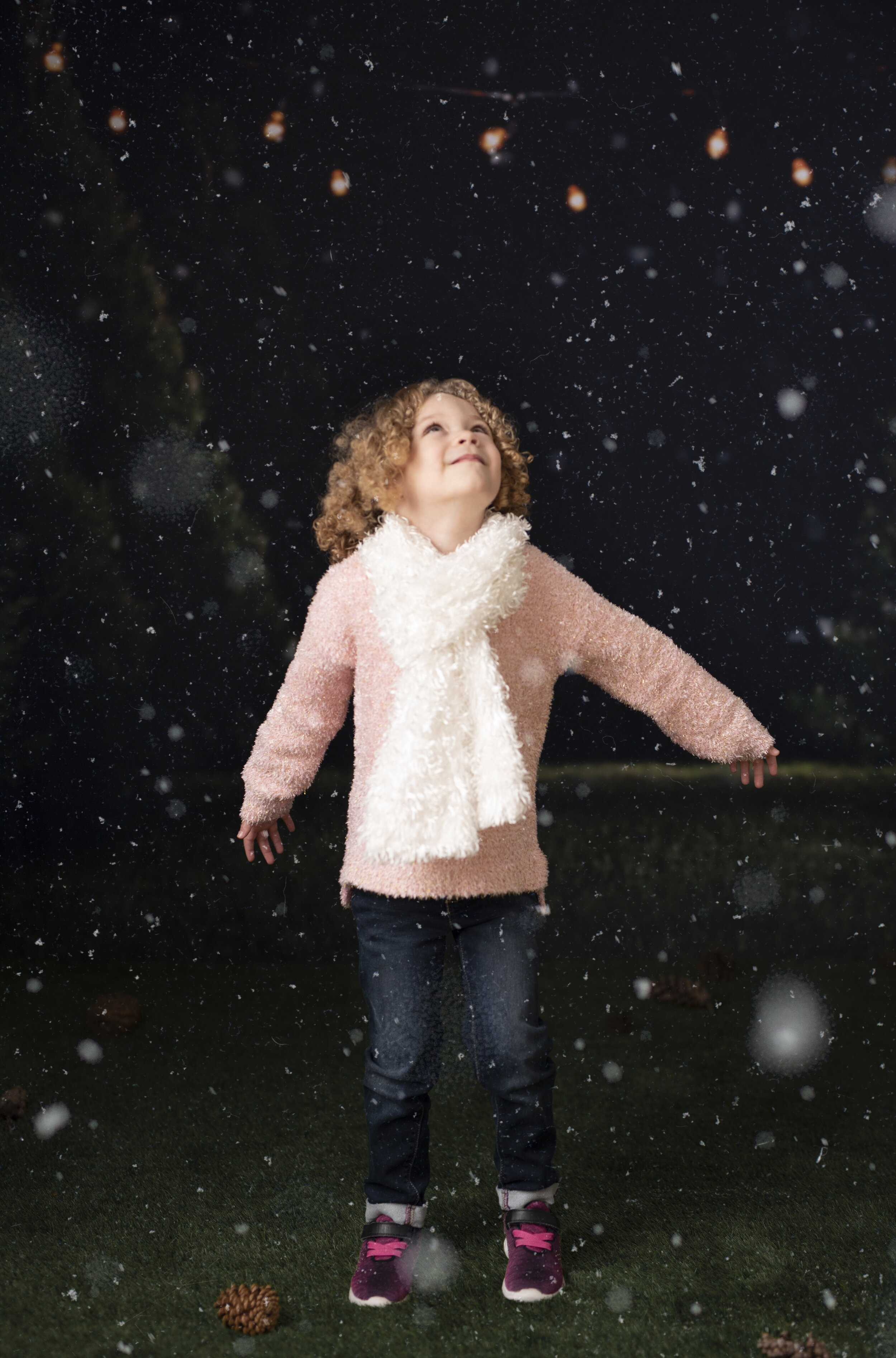 D7C_2329snow.jpg