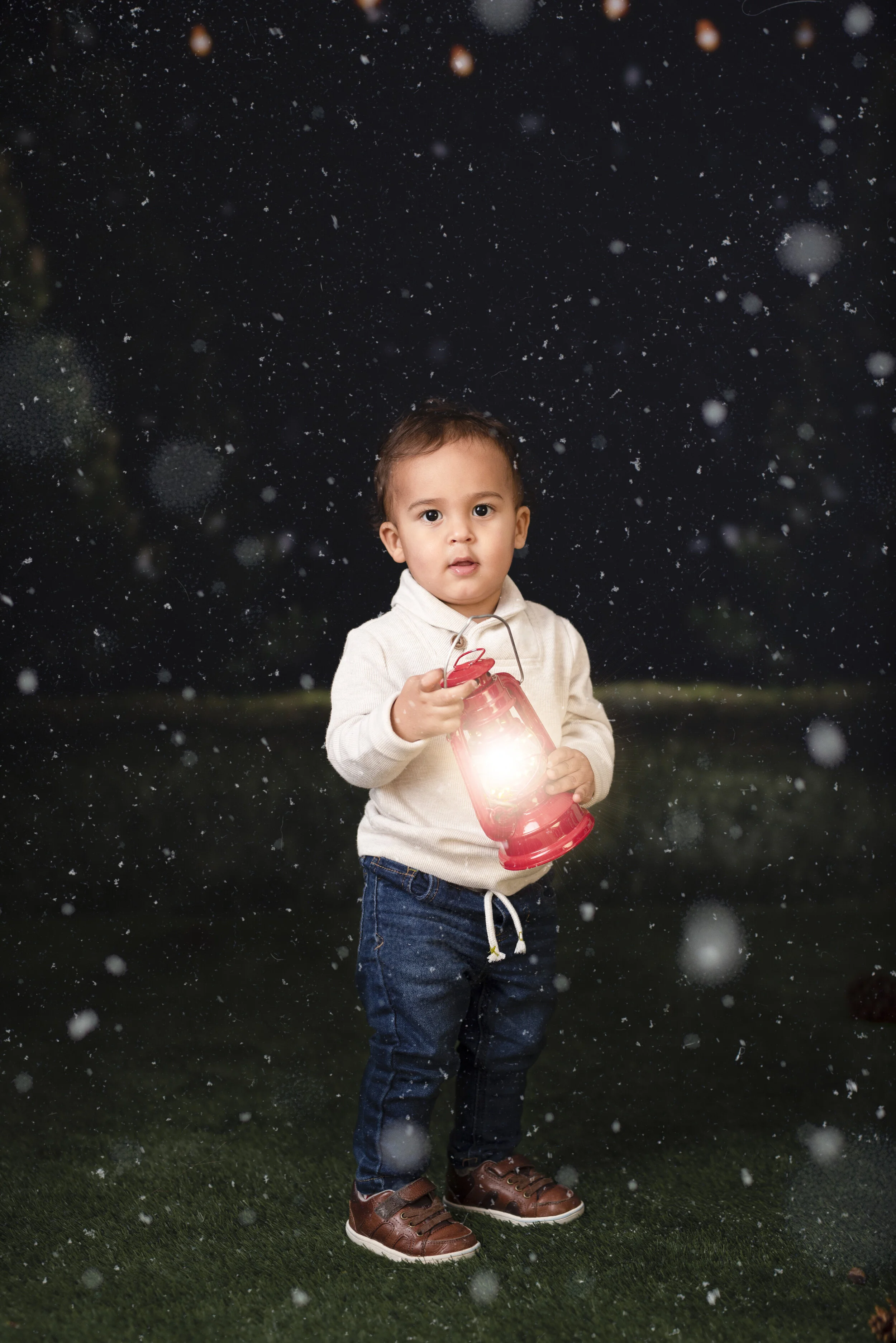 D7C_2675snow.jpg