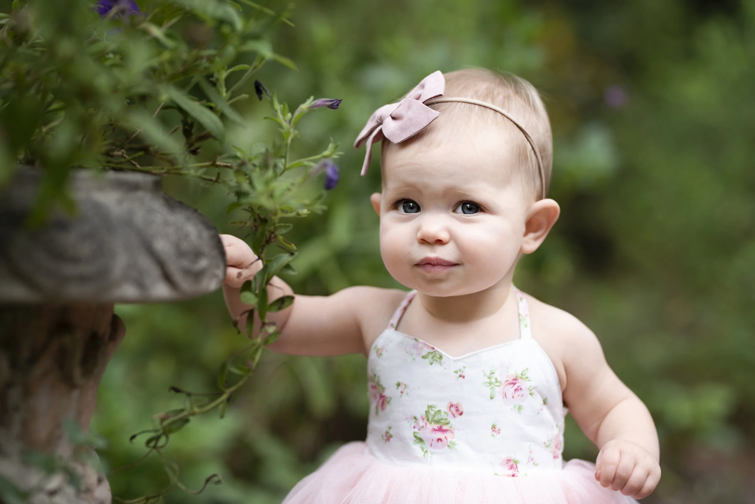 D7C_4981.jpg