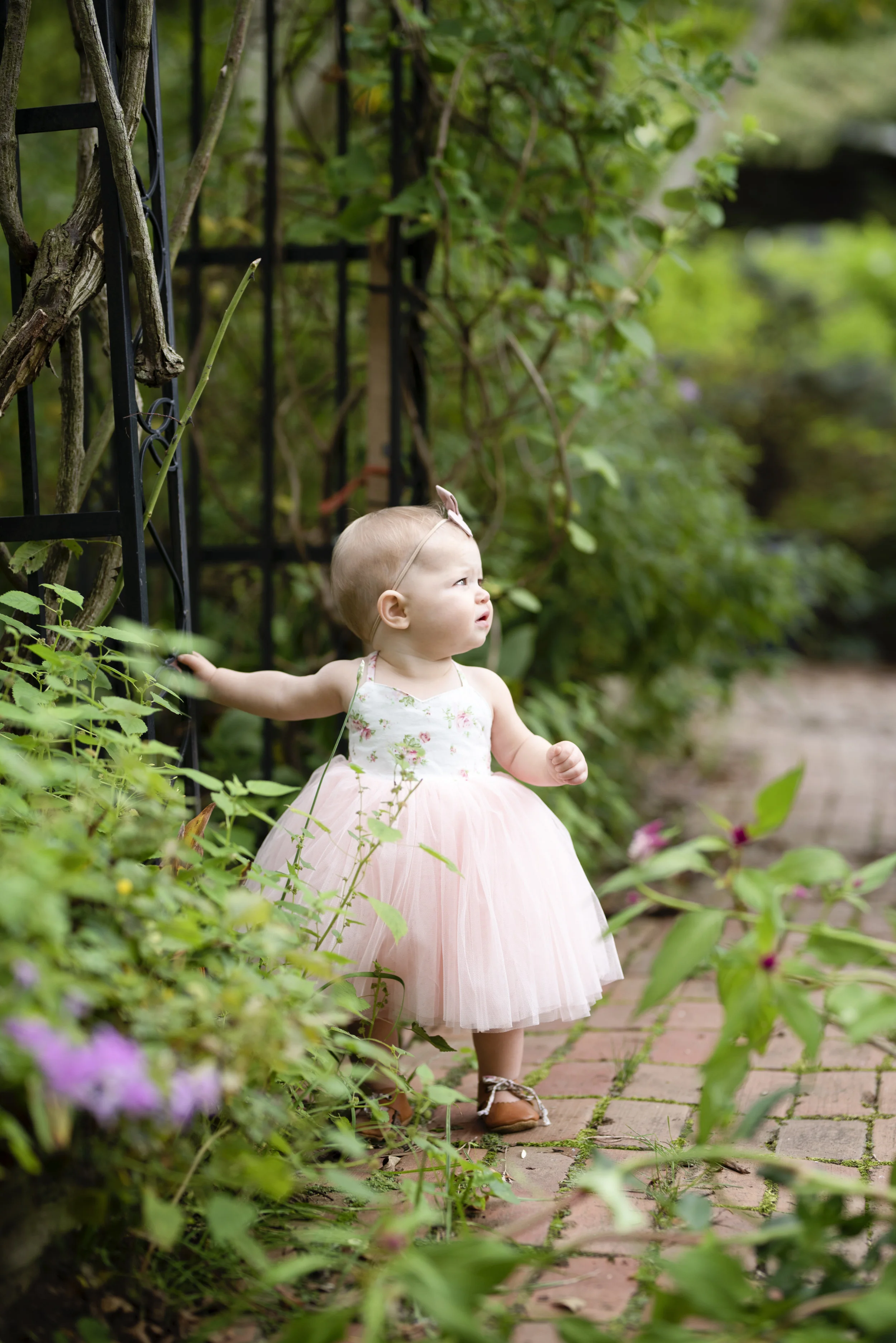D7C_5004.jpg