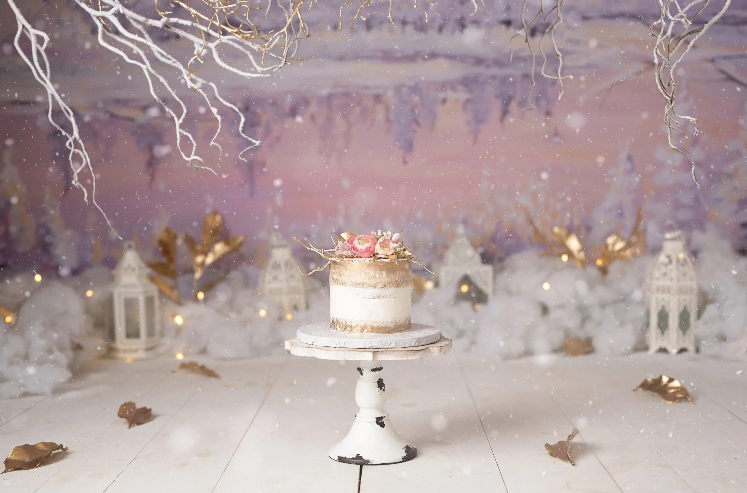 D7C_4495snow.jpg
