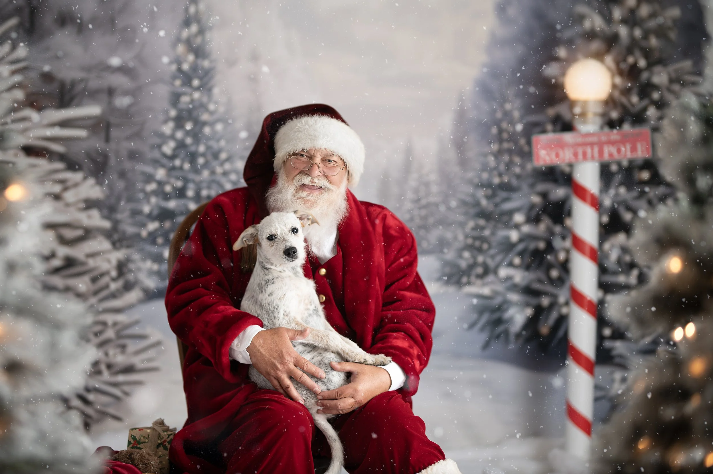 Santa holding a dog in a snowy North Pole inspired Christmas photography set.