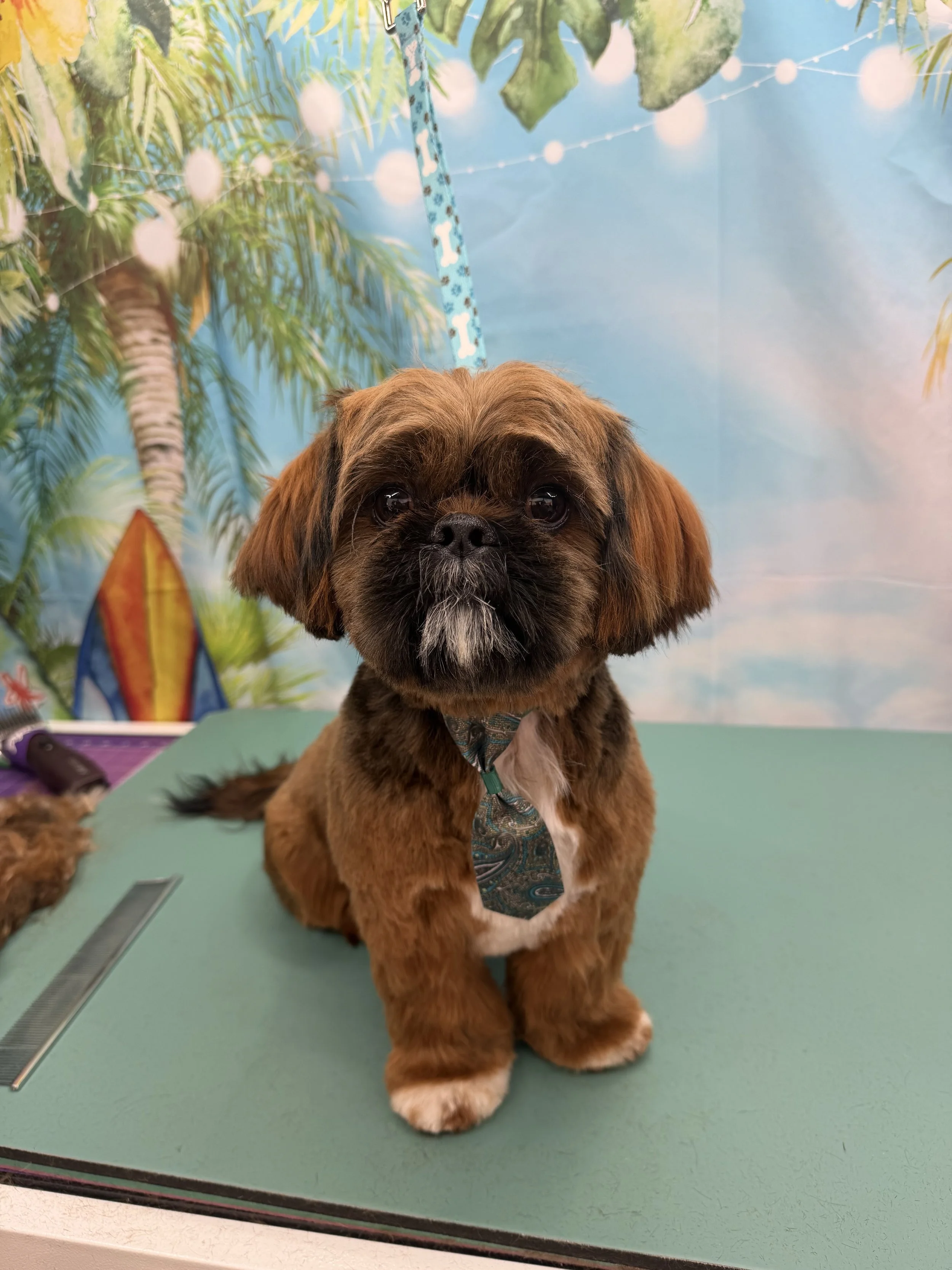 A small brown dog with a black nose and expressive eyes sitting on a green table, wearing a patterned bandana around its neck. The background features a colorful tropical scene with palm trees, a blue sky, and decorative string lights.