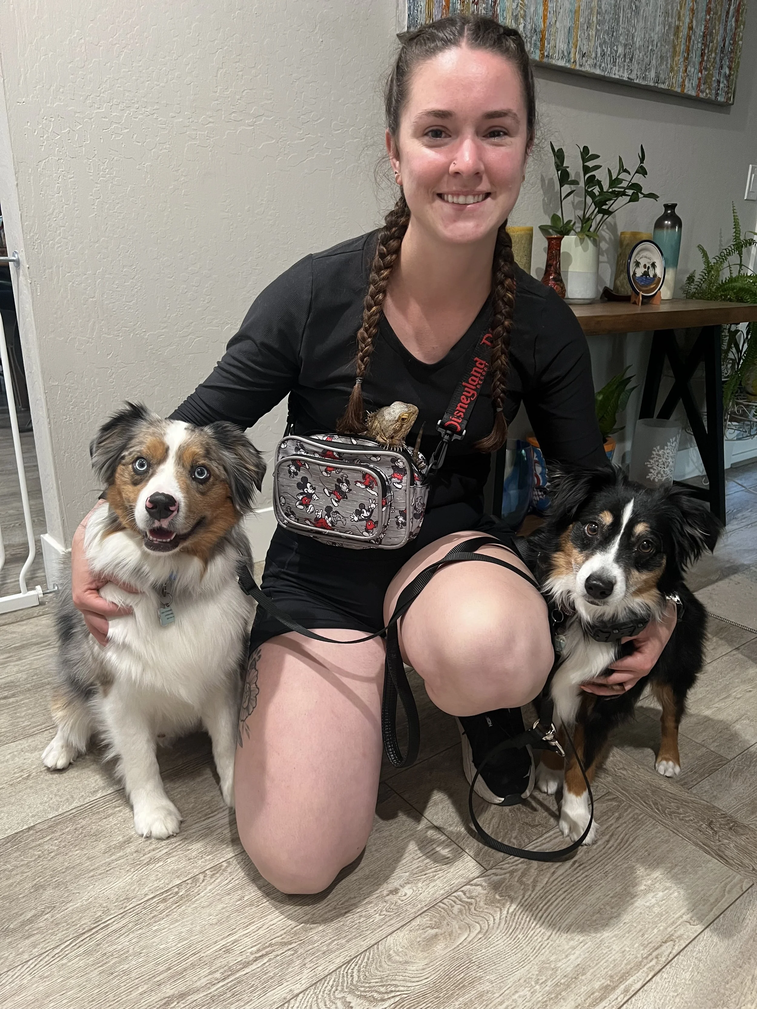 A woman with braided hair smiling while sitting on the floor with two Australian Shepherd dogs, one with blue eyes and a tri-color coat, in a home interior with plants and artwork in the background.