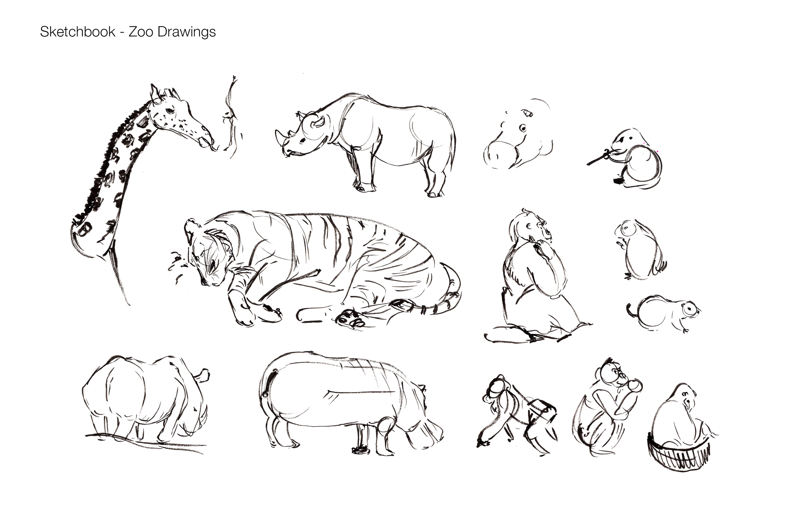 02_Sketchbook_Nora.png