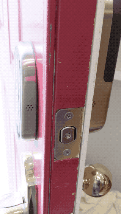 nestyale-2.gif