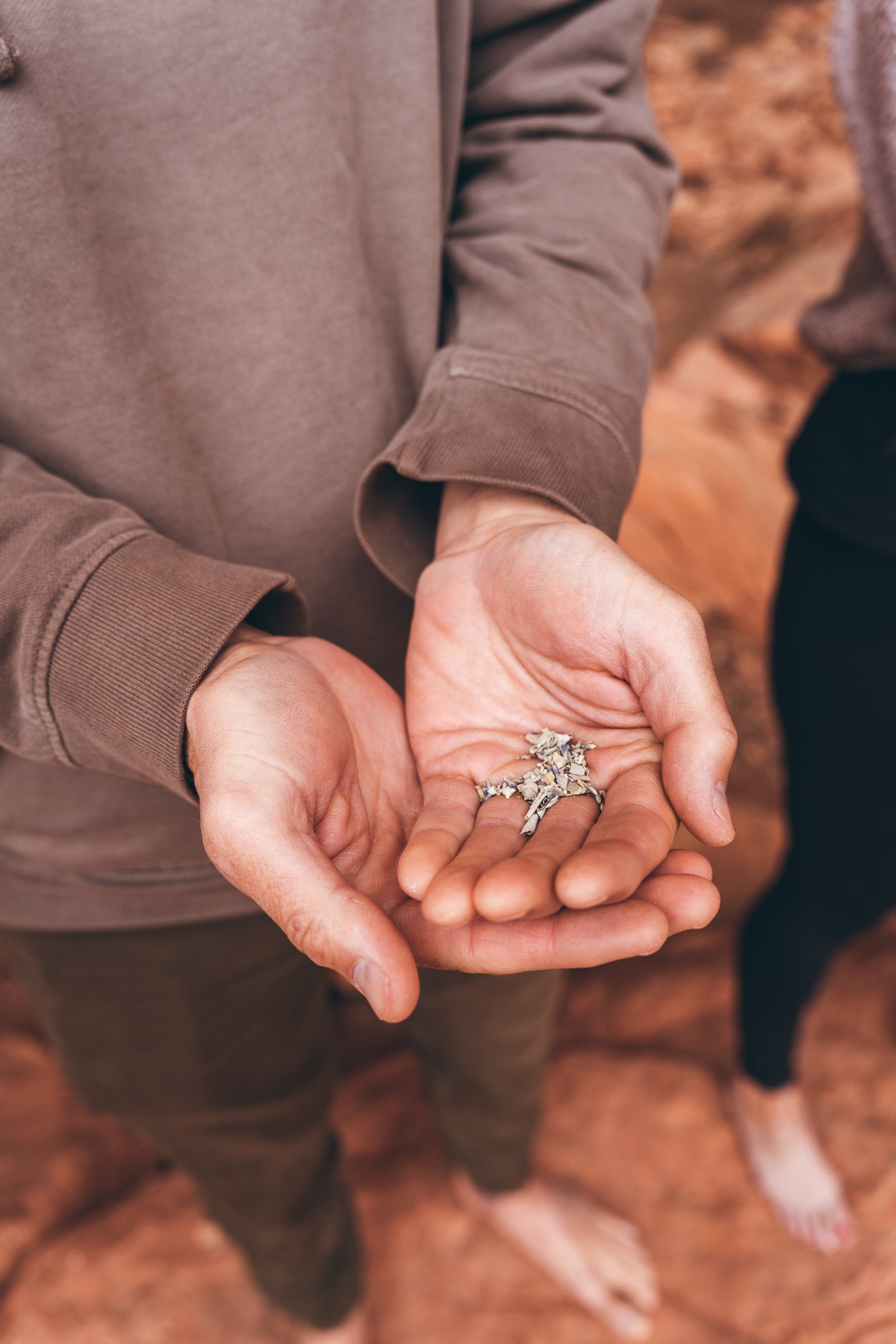 Close-up of a person holding a small pile of sage in their hand, with other people and a dog visible in the background.