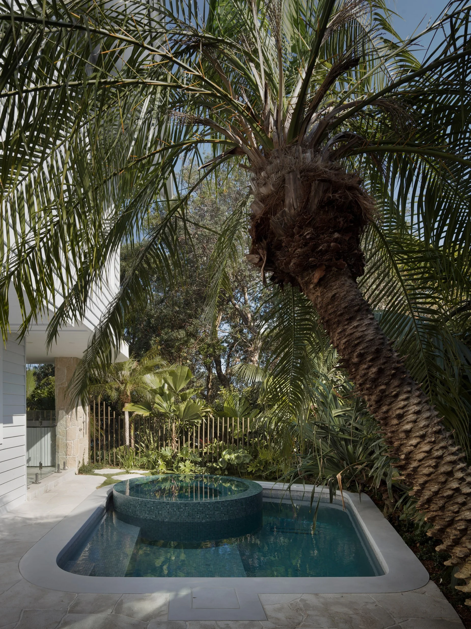 Custom concrete pool surrounded by tropical landscaping, mature palm trees and lush greenery in a contemporary residential backyard
