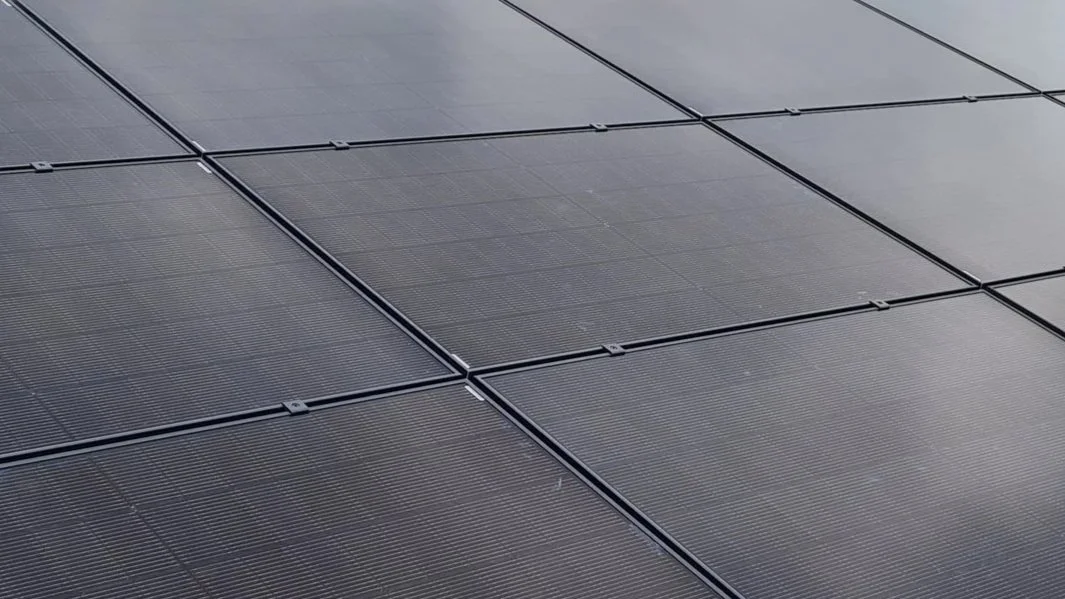 Close-up of dark solar panels arranged in a grid