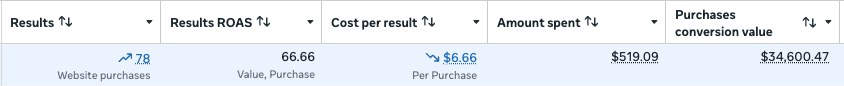 meta ads result snapshot in 7 days