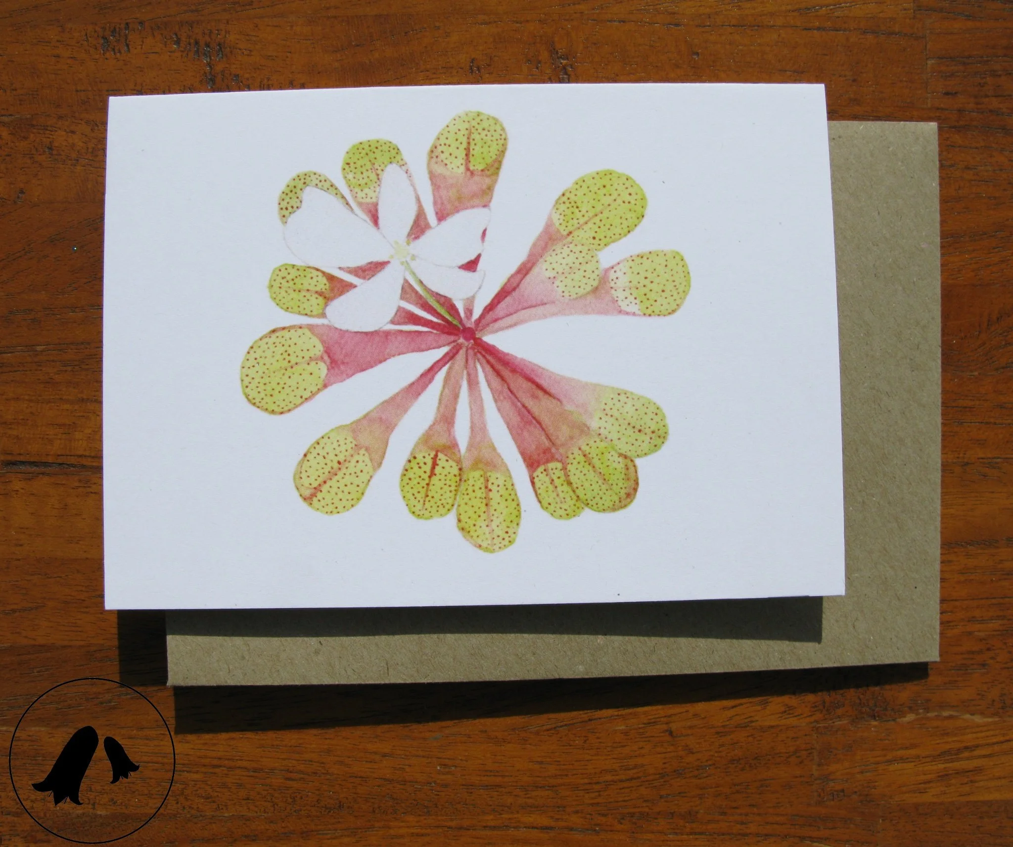 Scented Sundew Card