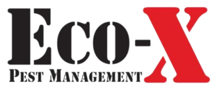 Eco-X Pest Management