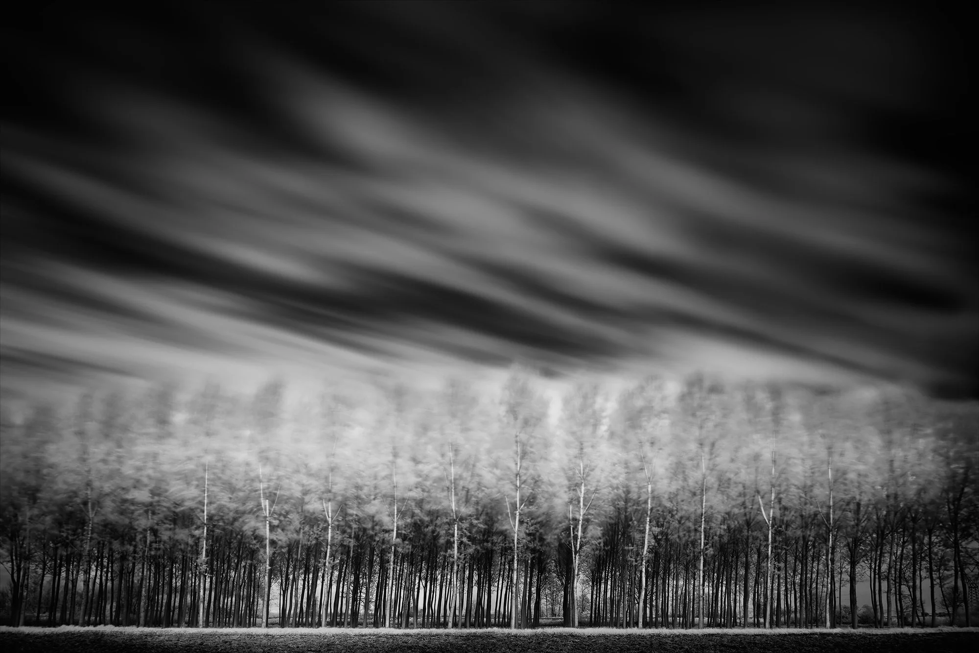 The Heliades — 03 Po River, Italy