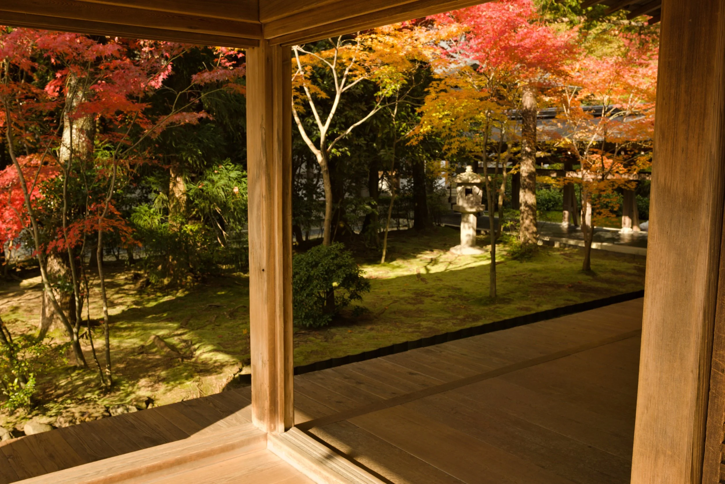 Close to the ground — Kyoto · 京都