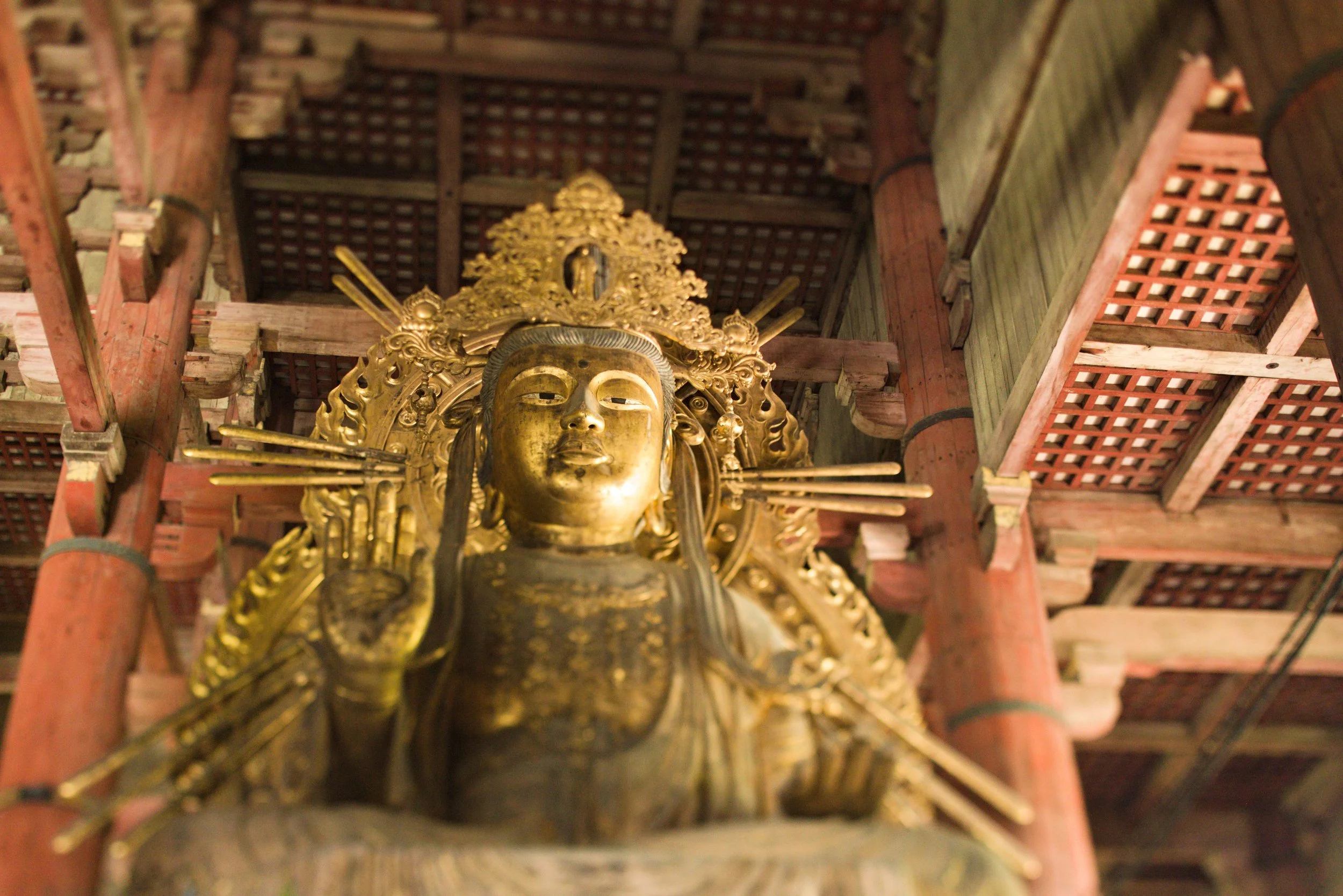 Beside the Great Buddha — Tōdai-ji, Nara · 東大寺