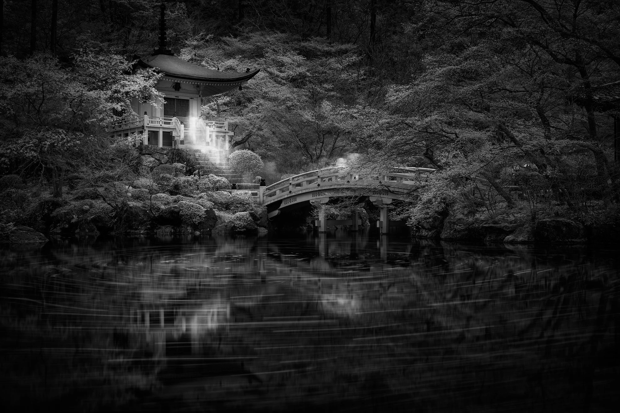 Soul of Japan — 03
Daigo-ji, Kyoto
