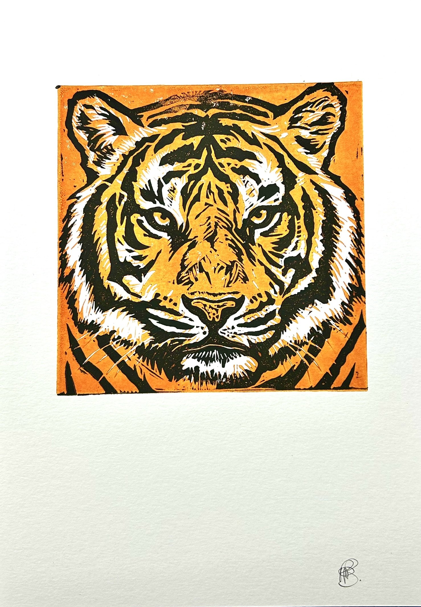 Untitled [tiger]