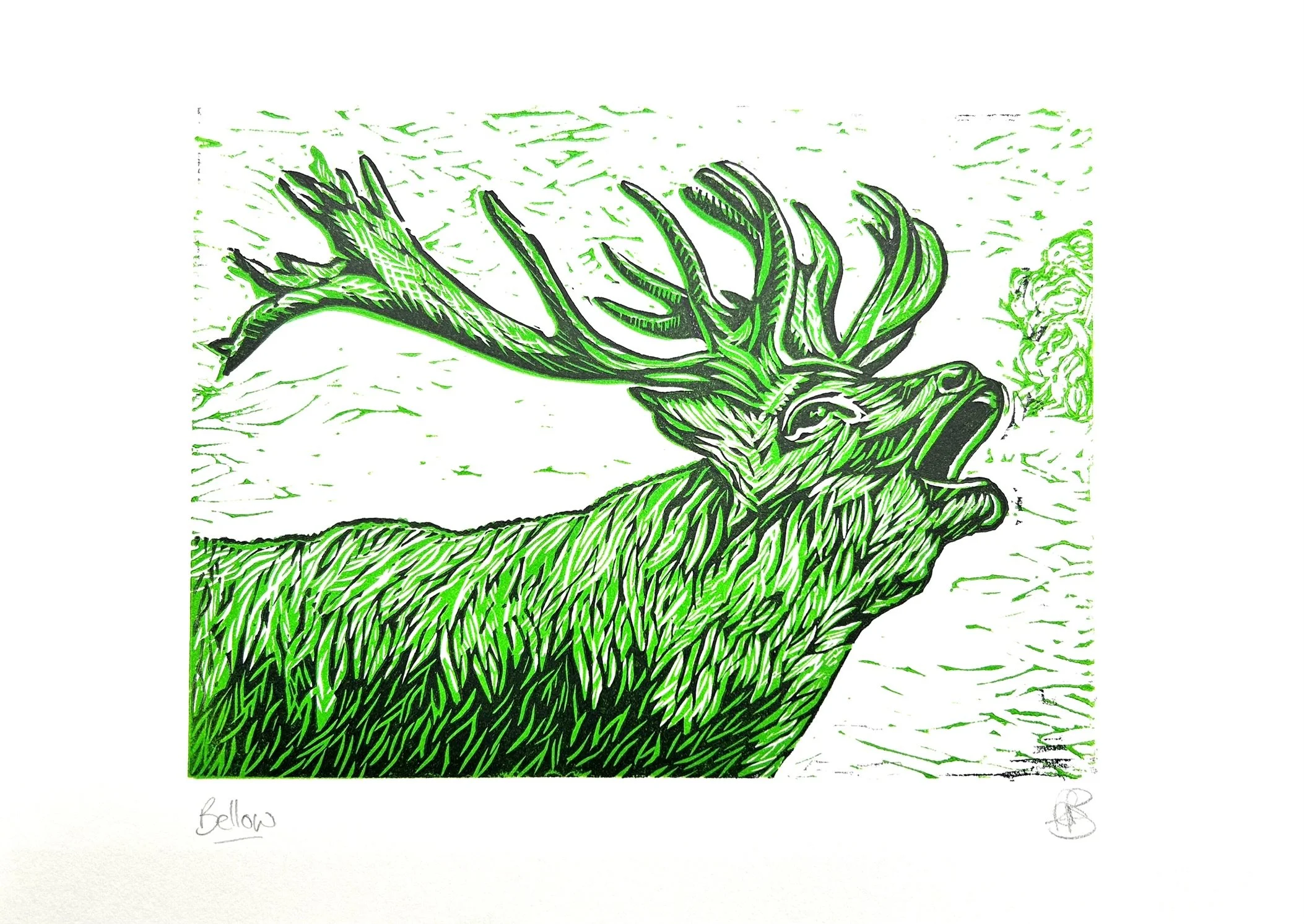 Bellow (green)