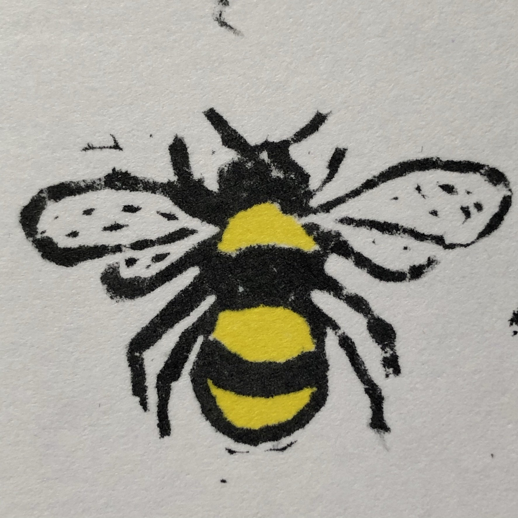 Illustration of a bee with black and yellow striped body, black head and antennae, and detailed black and white wings, on a white background.