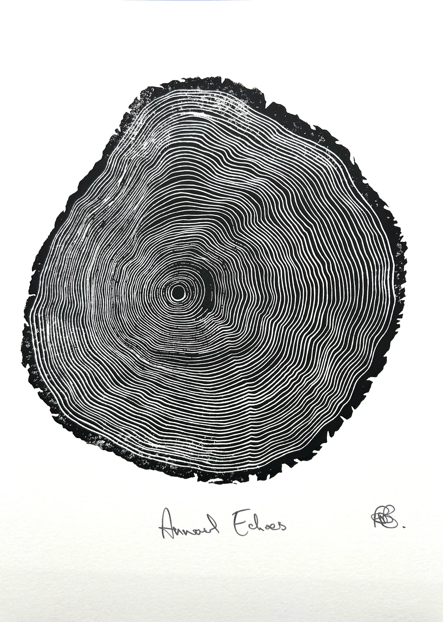 Annual Echoes (on white)