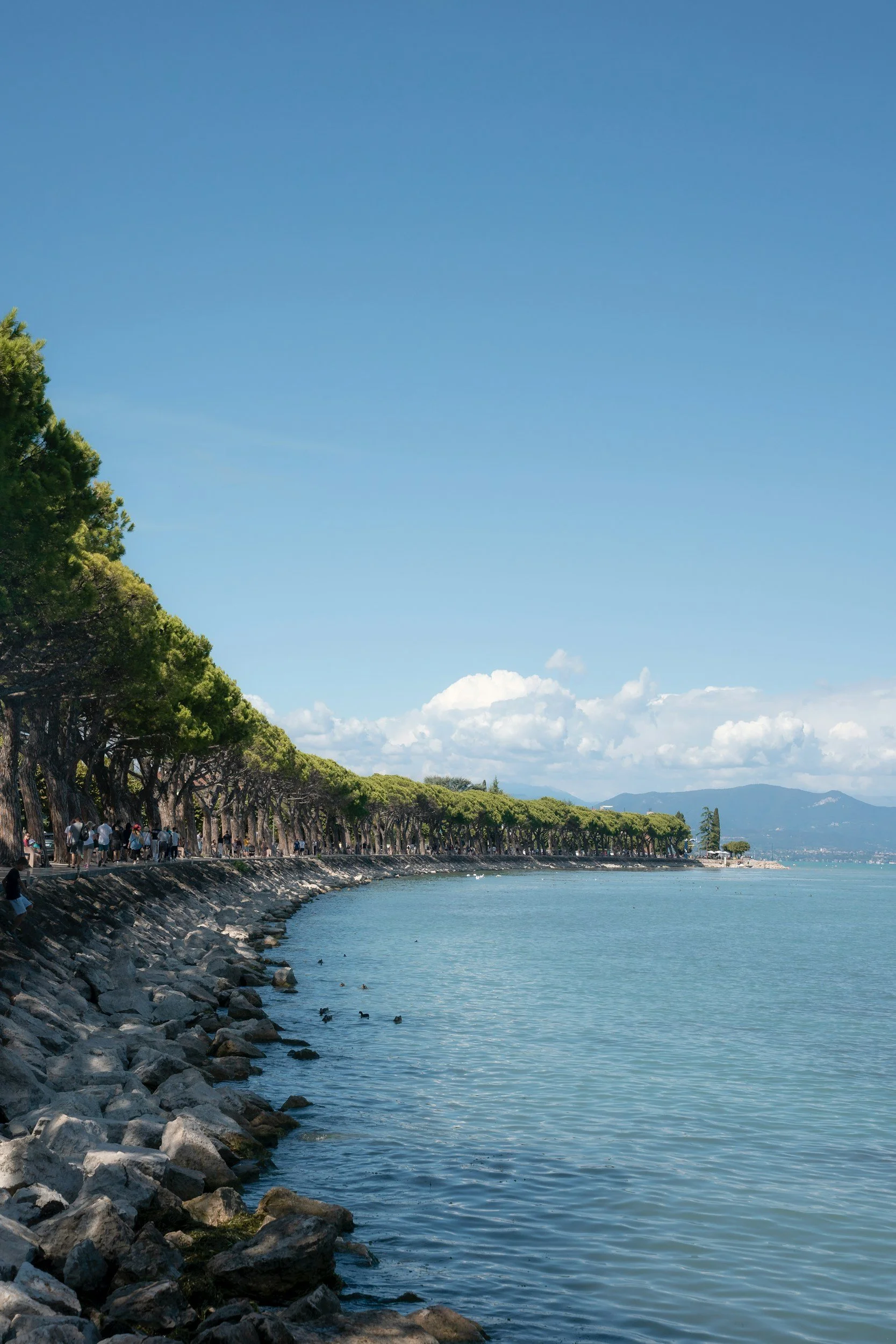 Riva rocciosa del Lago di Garda con acqua limpida