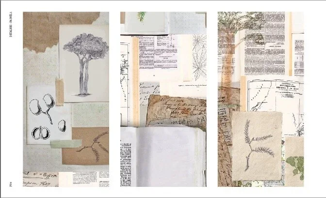 Collage of vintage botanical sketches, handwritten notes, and printed documents on paper.