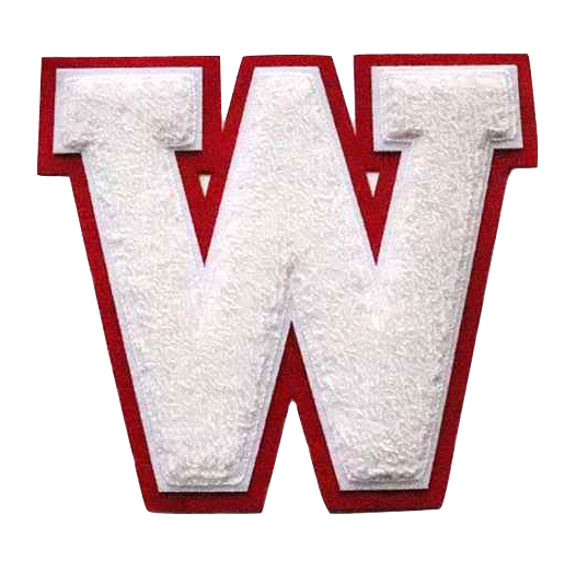 Chenille patch with a raised fuzzy texture, the style used for varsity and letterman lettering