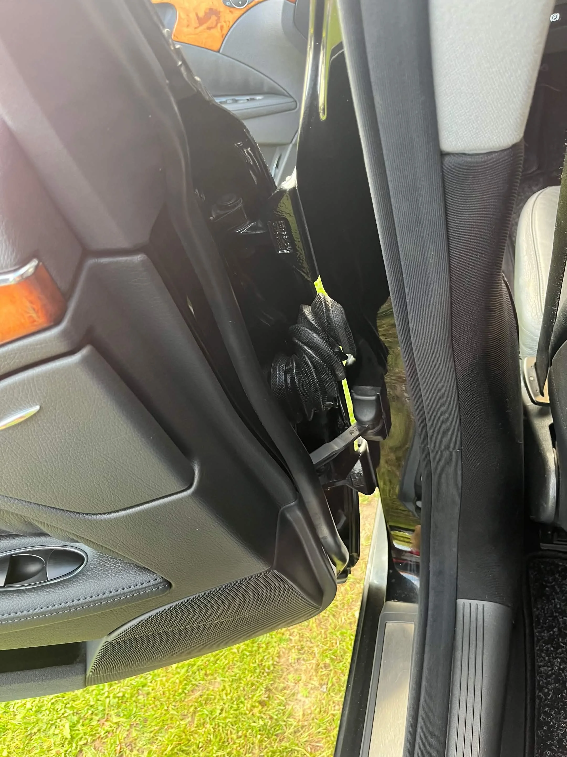 The image shows the interior of a vehicle, specifically the passenger side door and window area, with a grassy outdoor background visible through the window.