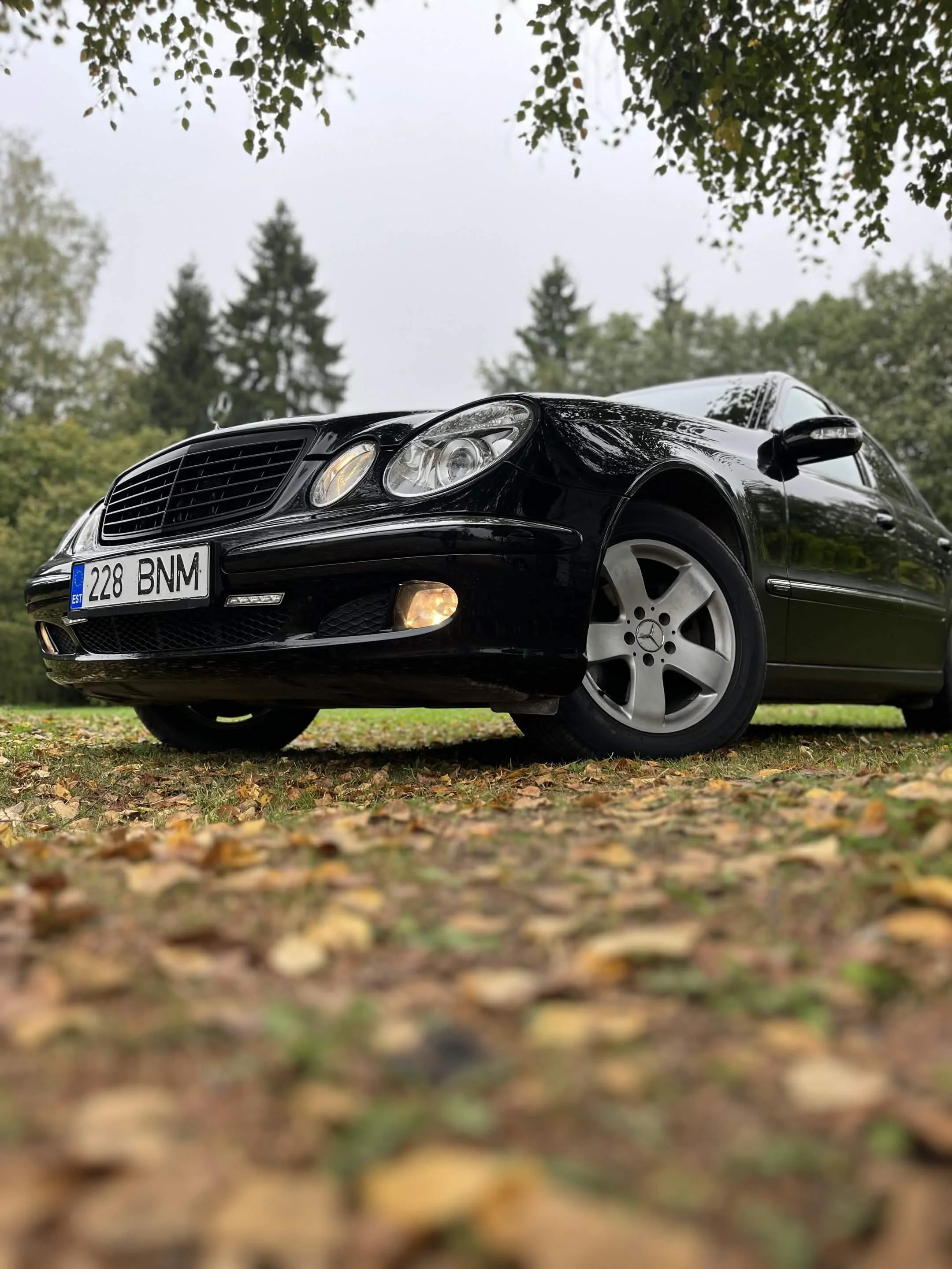 Must Mercedes-Benz, mis on pargitud väljas murule, taustal puud ja pilvine taevas.