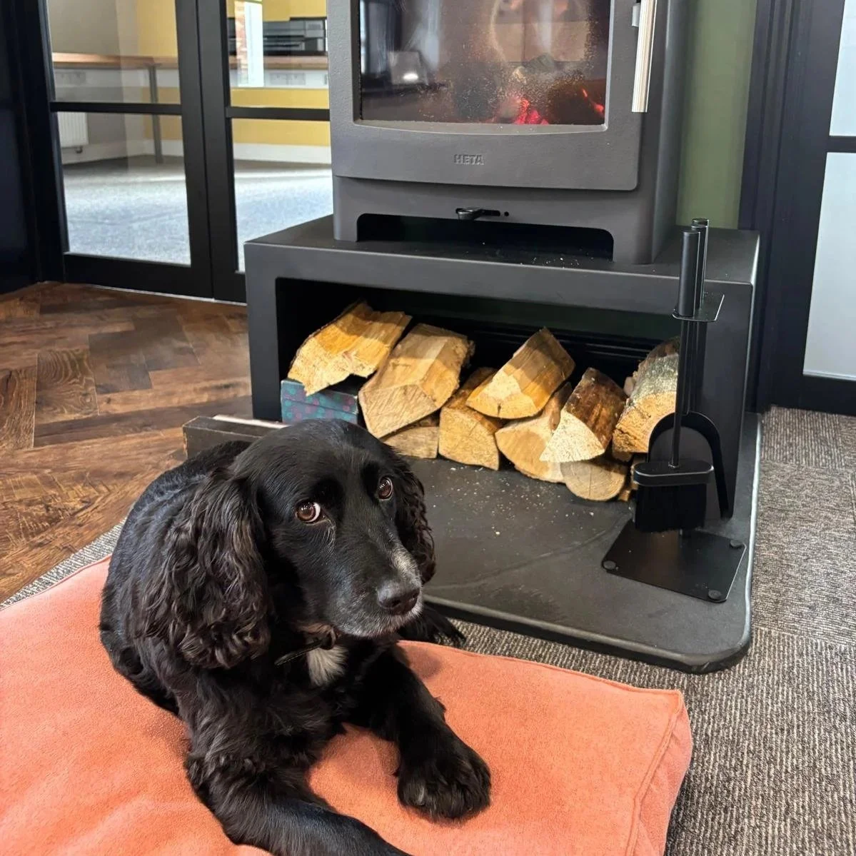 Black springer spaniel dog laying on a pink cushion in front of a woodburning stove with firewood stacked underneath. The fire is lit.
