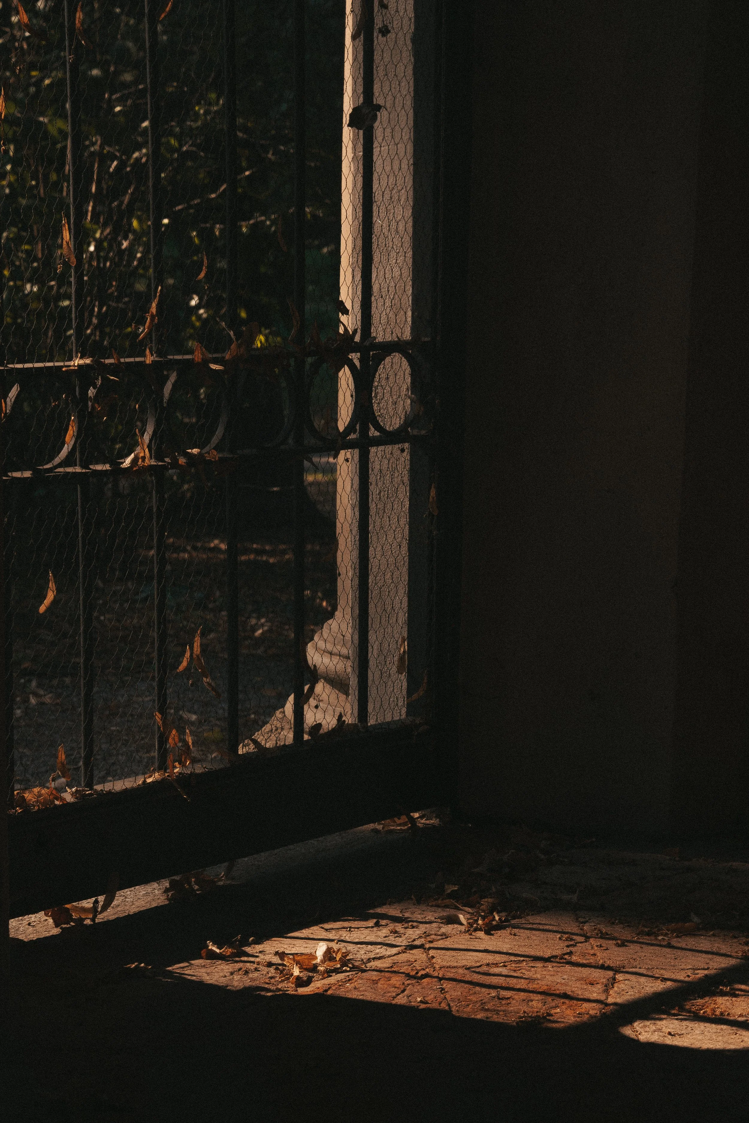 Una porta con grate di metallo e una luce calda che proietta ombre sul pavimento di pietra, con foglie secche sparse.