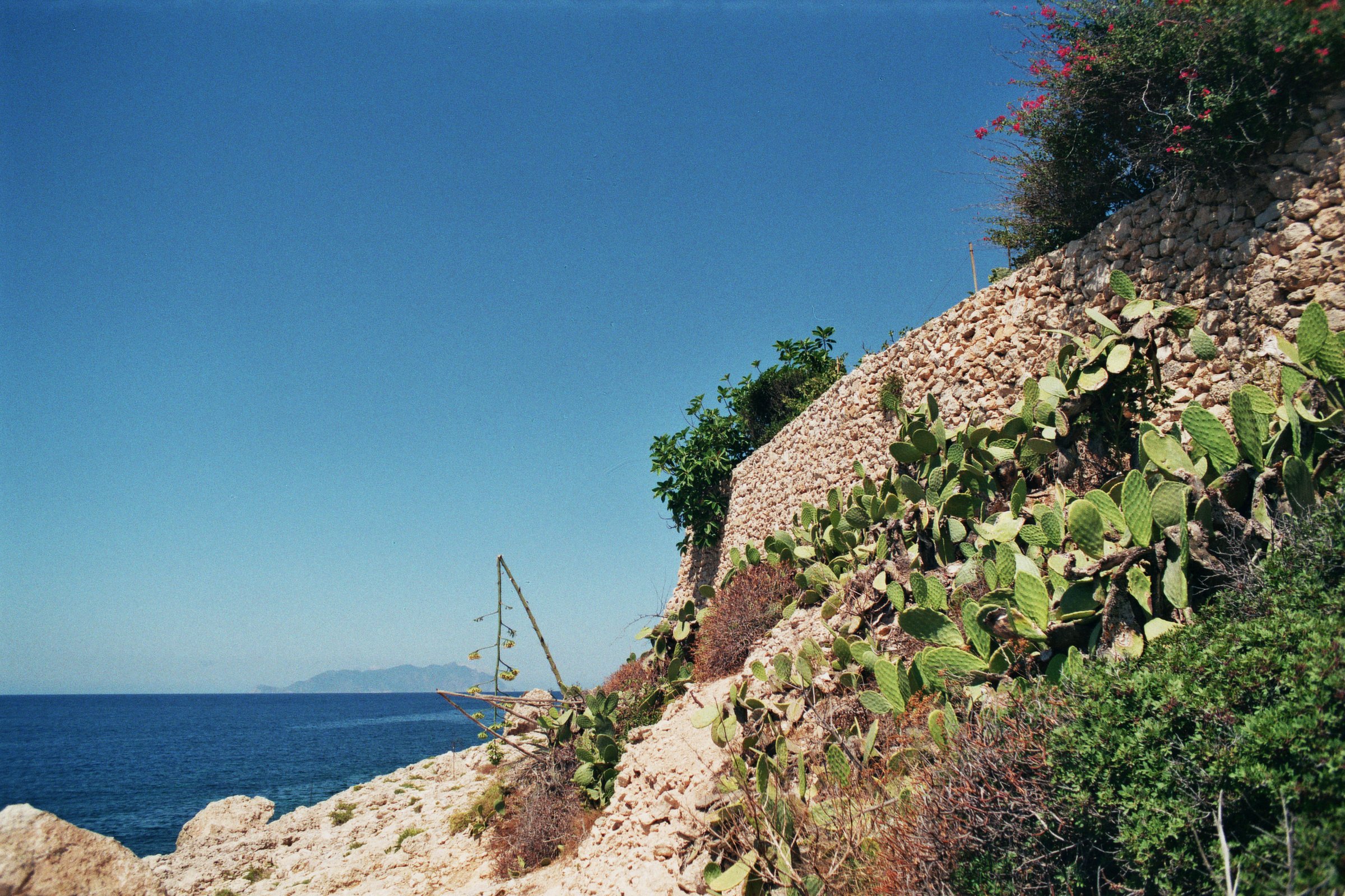 12A_05245.JPG