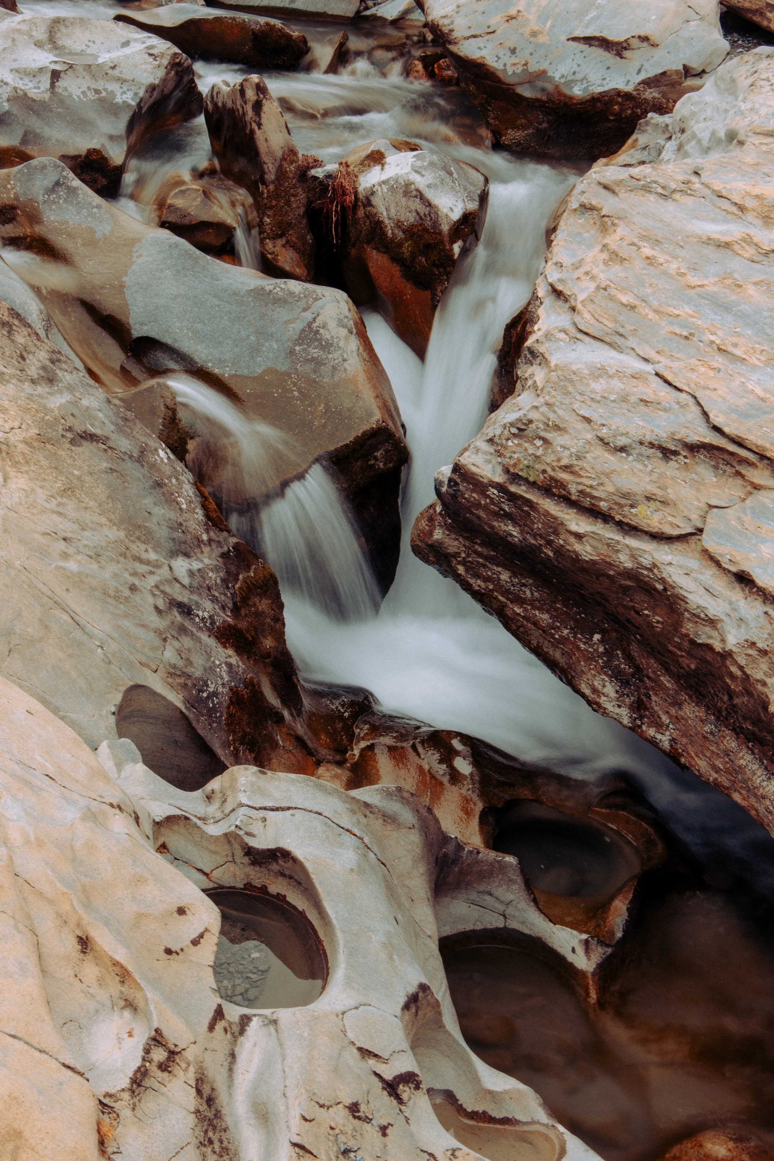 _MG_9636.JPG