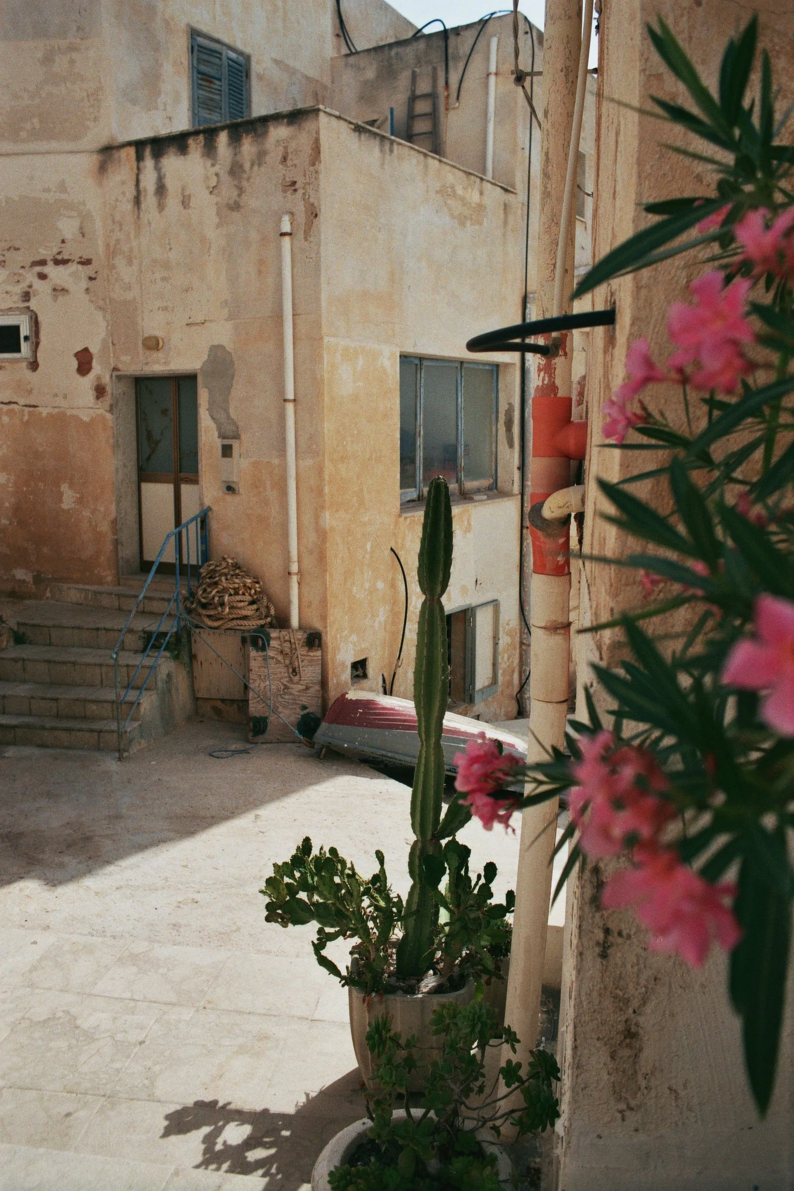 _7A_05240.JPG